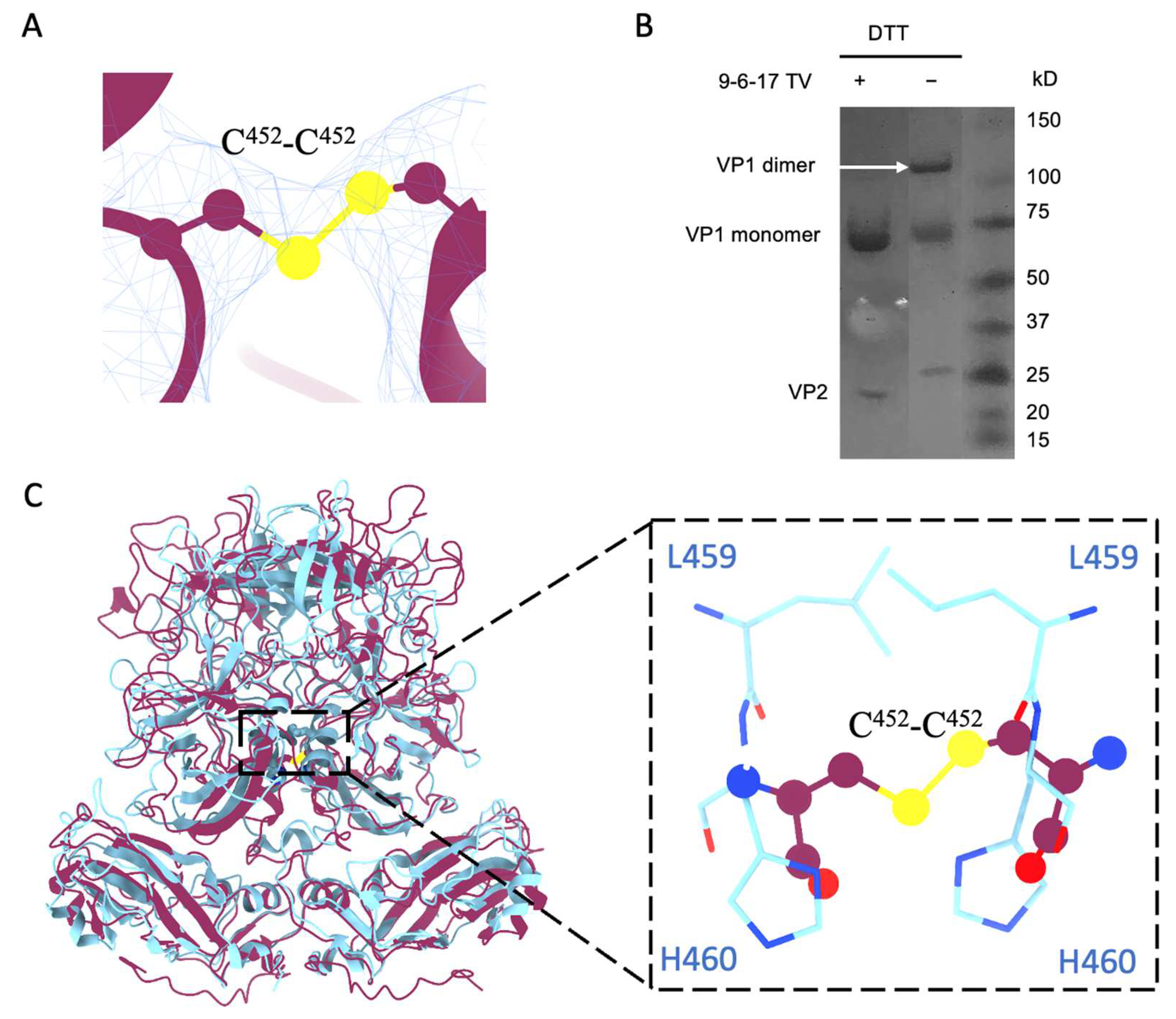 Biomolecules 14 00119 g005 Biomolecules 14 00119 g005
