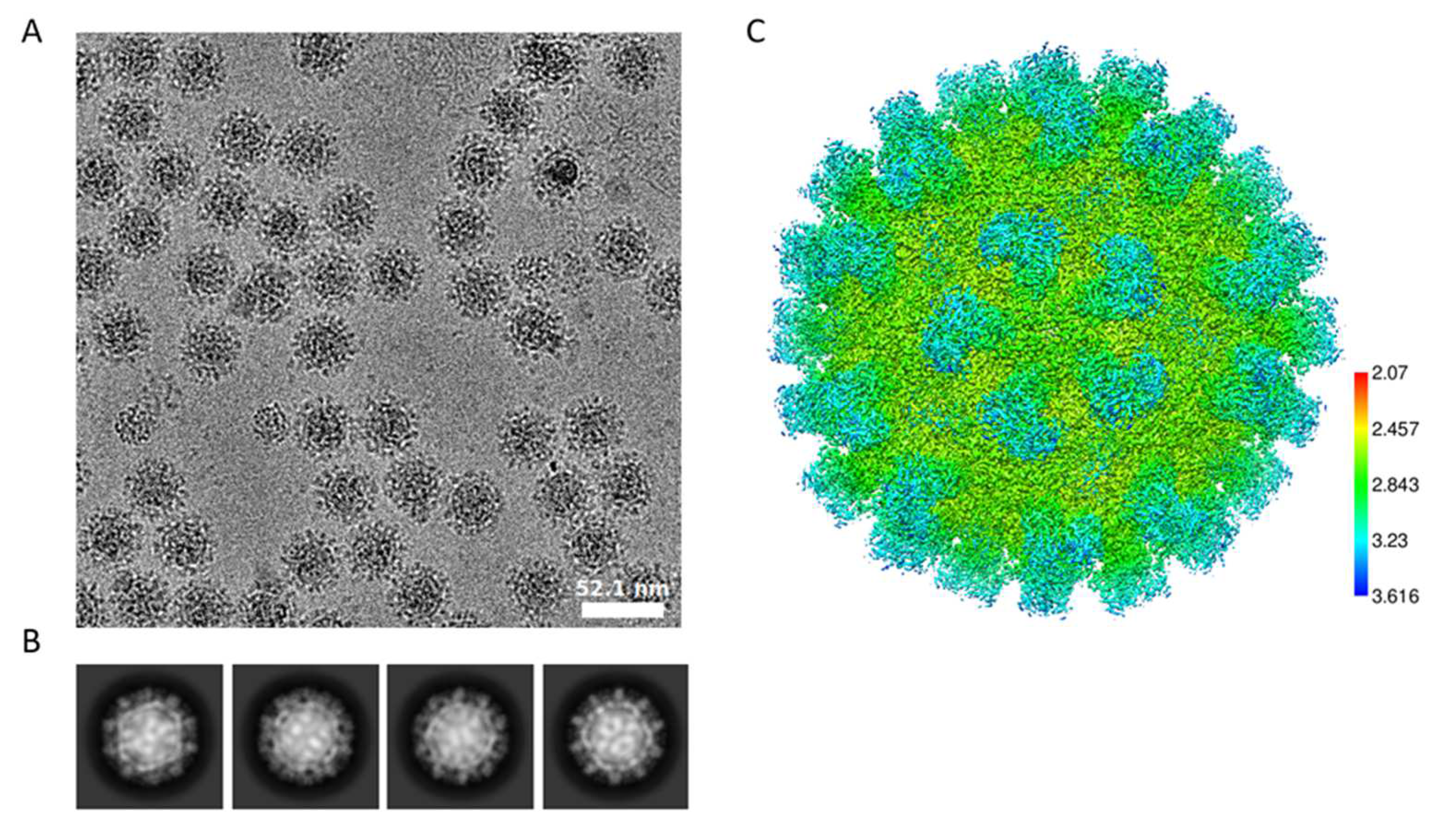 Biomolecules 14 00119 g006 Biomolecules 14 00119 g006