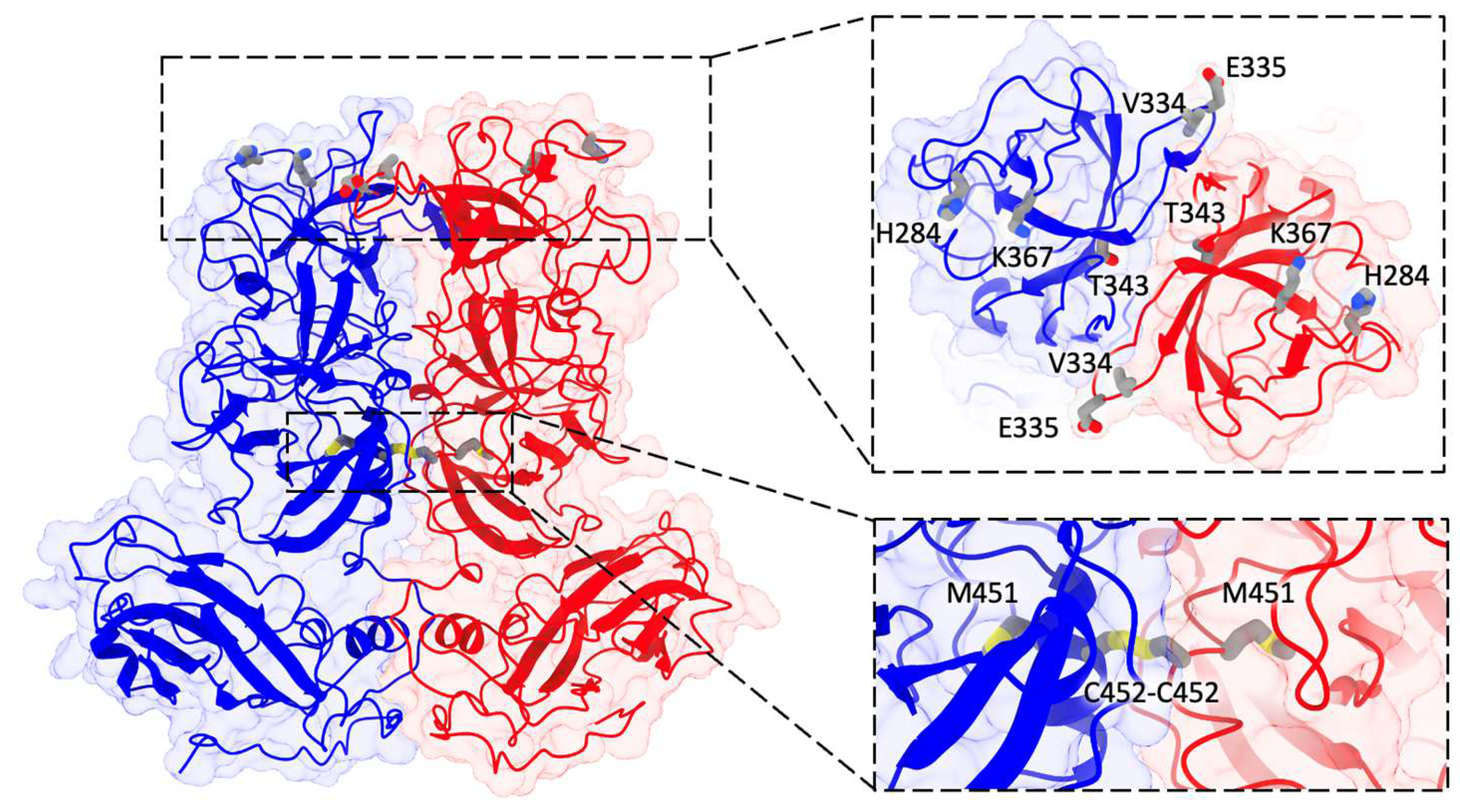 Biomolecules 14 00119 g008 Biomolecules 14 00119 g008