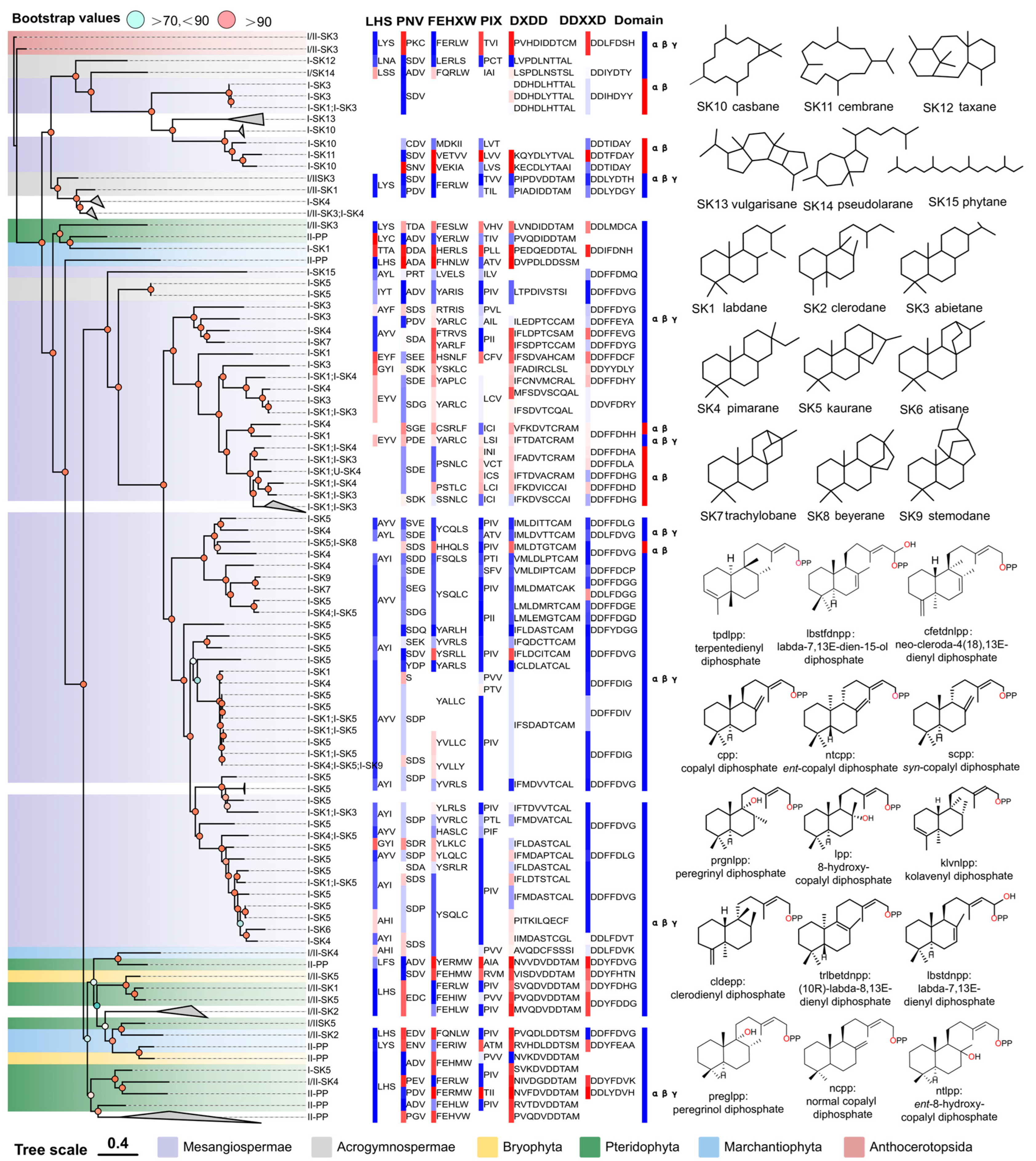 Biomolecules 14 00120 g002