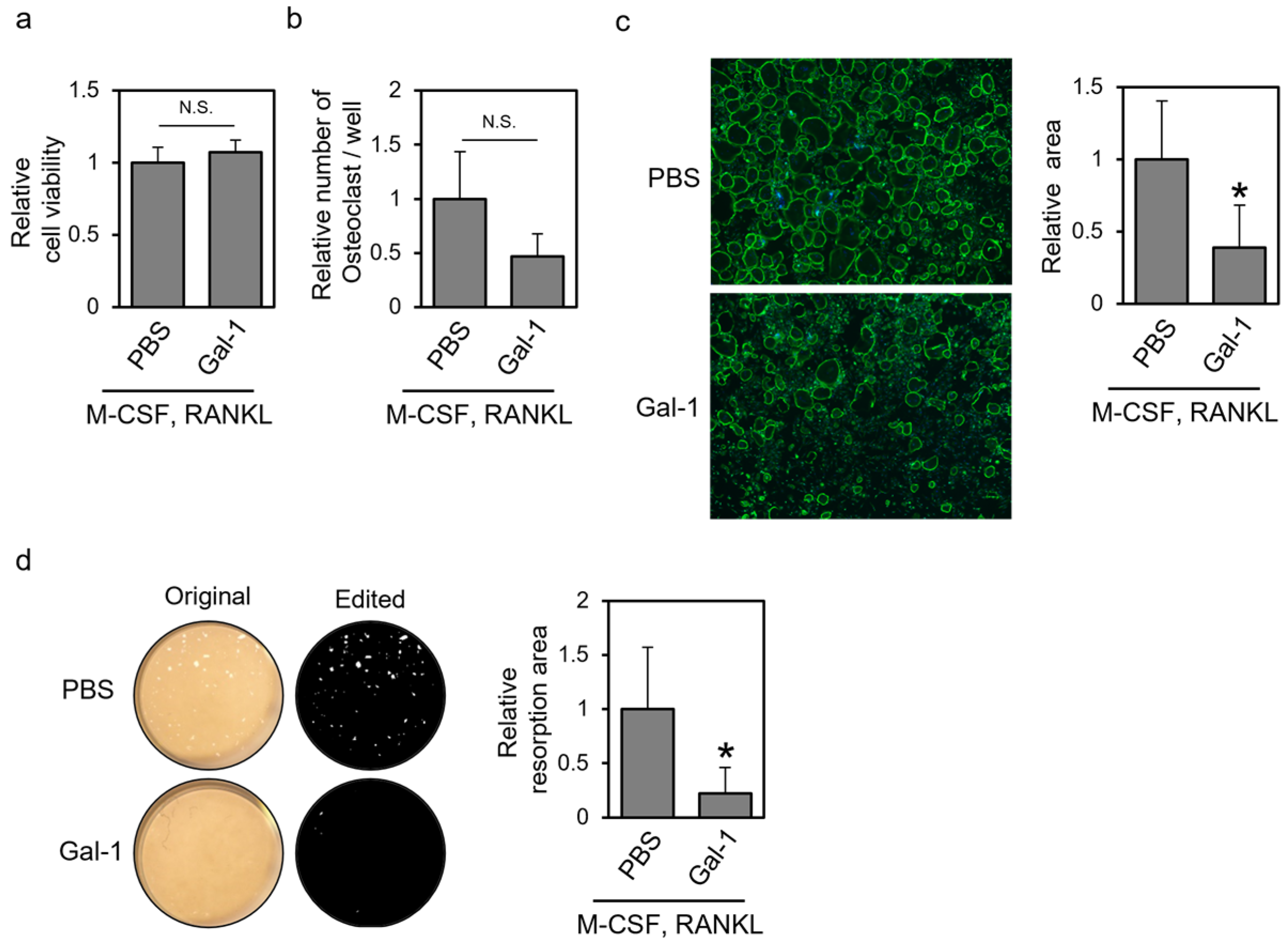 Biomolecules 14 00121 g001