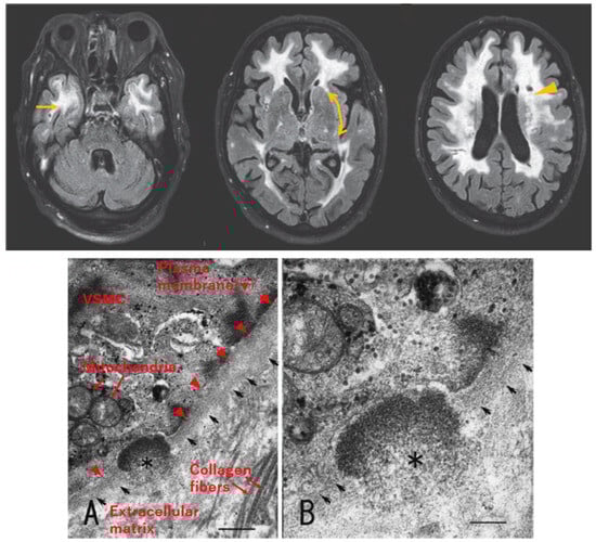 Biomolecules 14 00127 g002