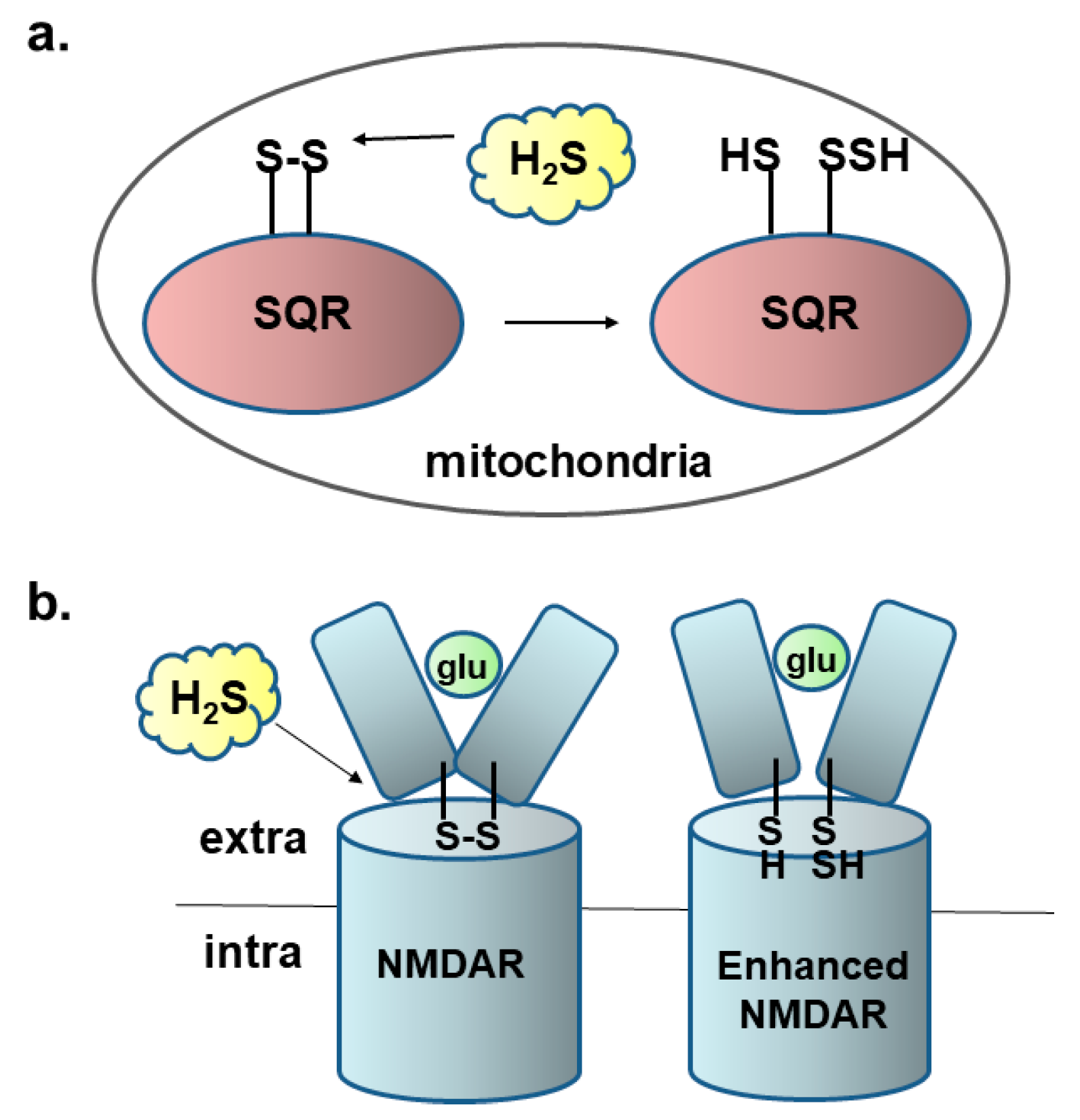Biomolecules 14 00129 g001
