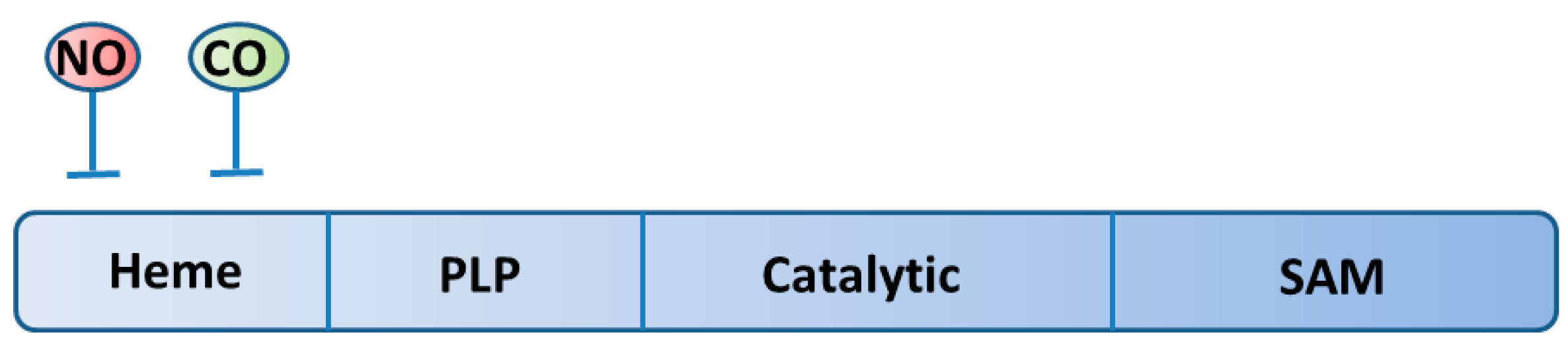 Biomolecules 14 00129 g002