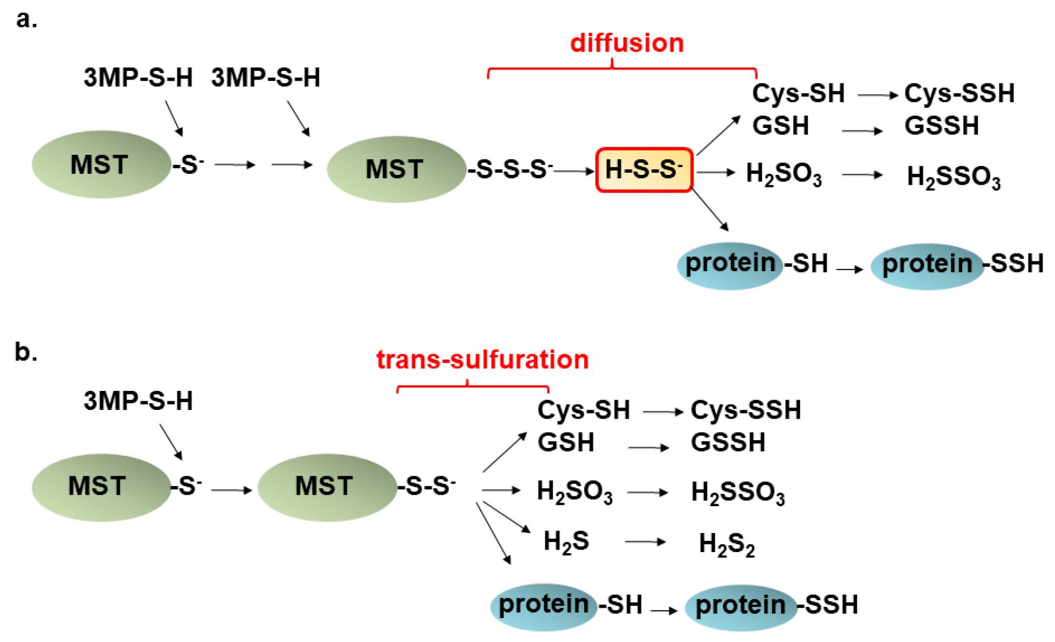 Biomolecules 14 00129 g004