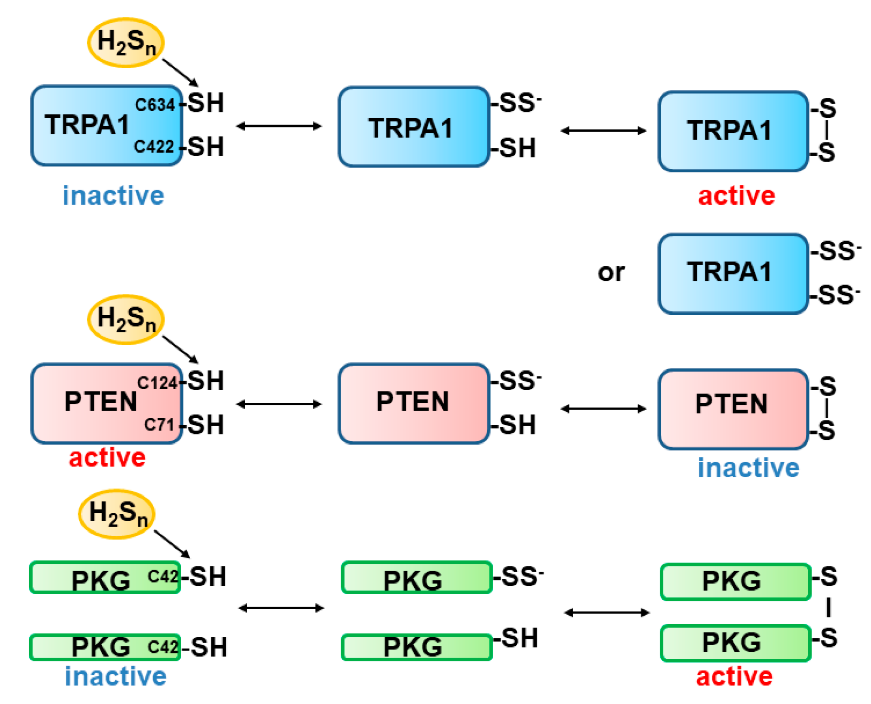 Biomolecules 14 00129 g006