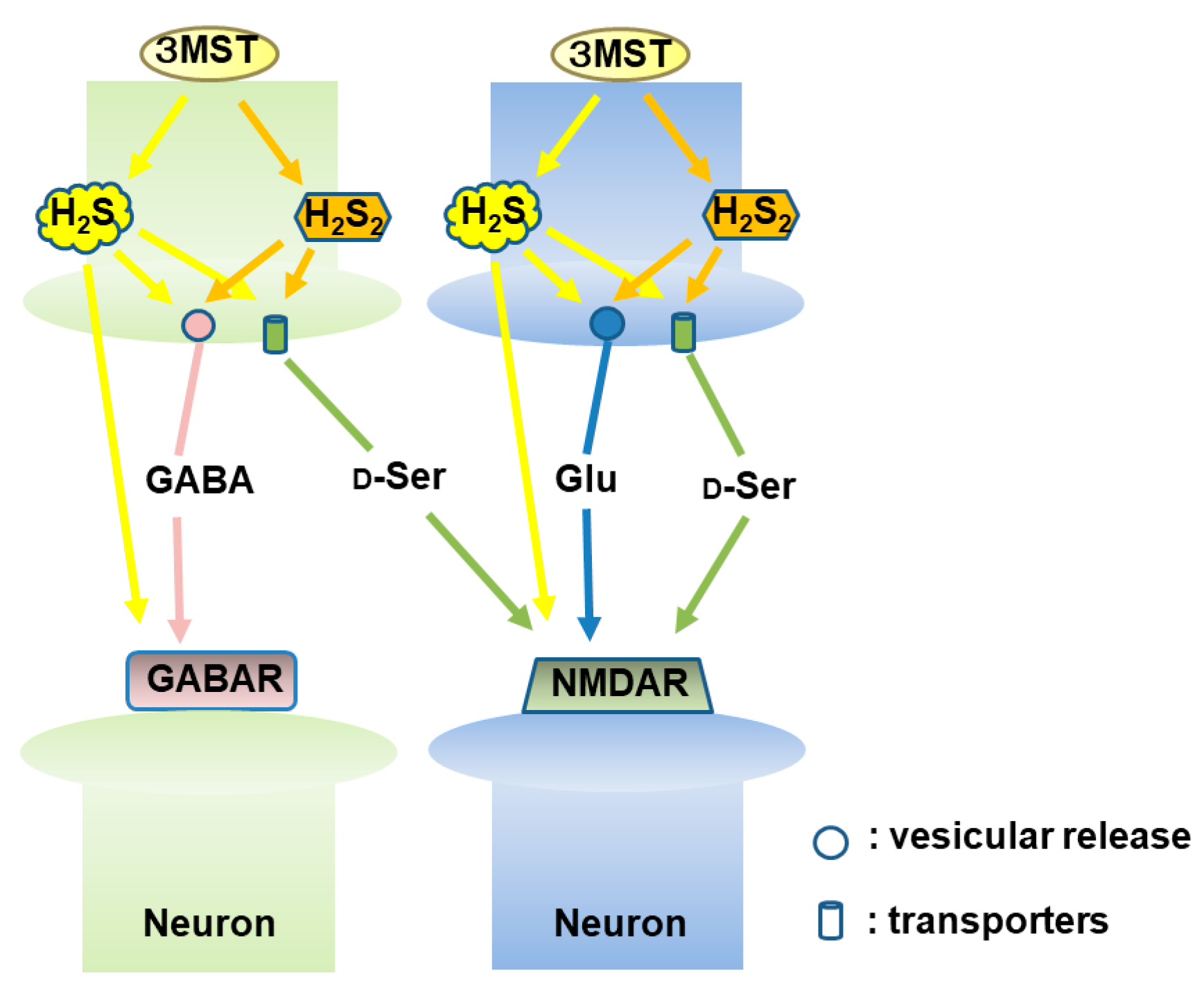 Biomolecules 14 00129 g007