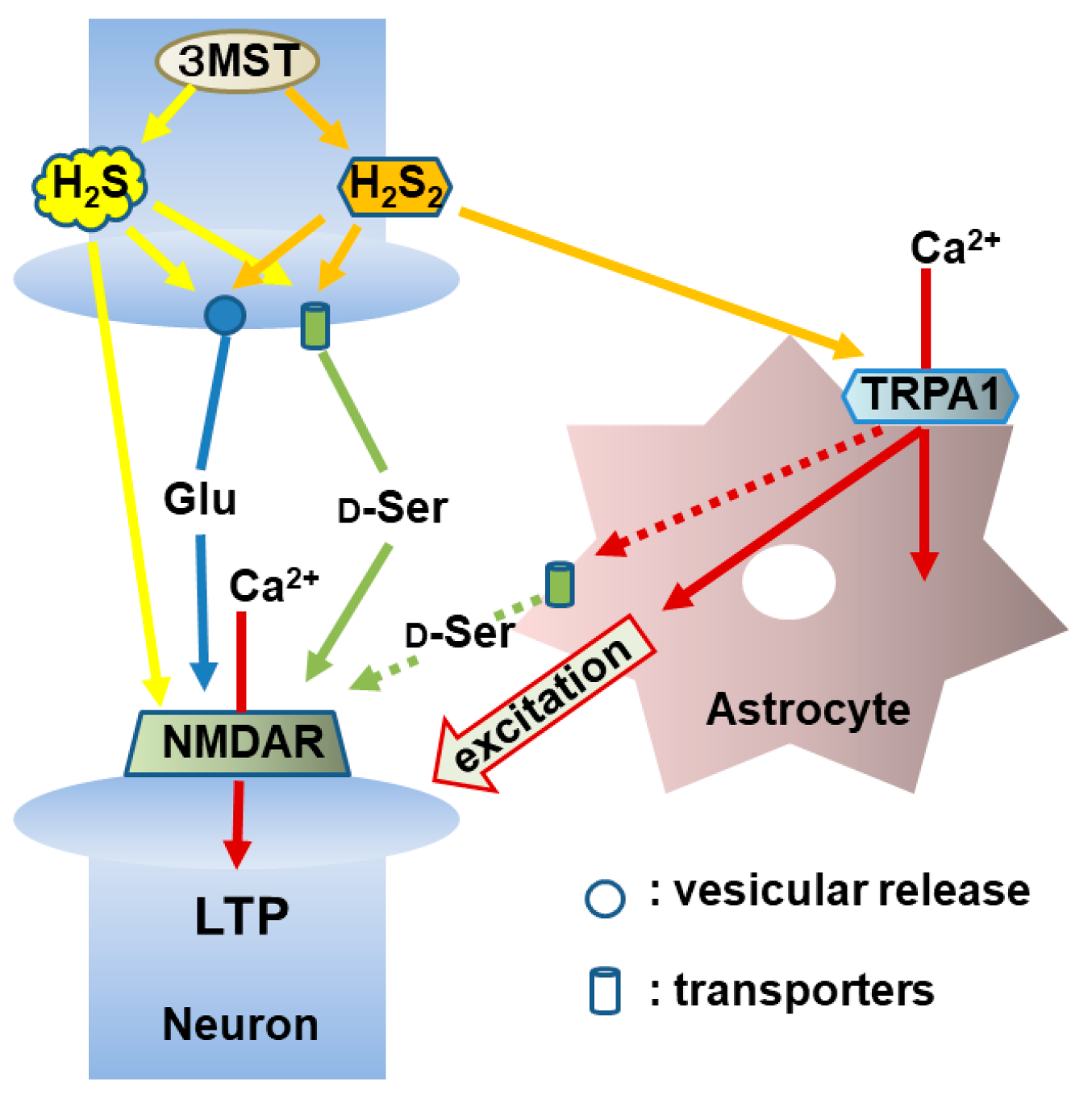 Biomolecules 14 00129 g008