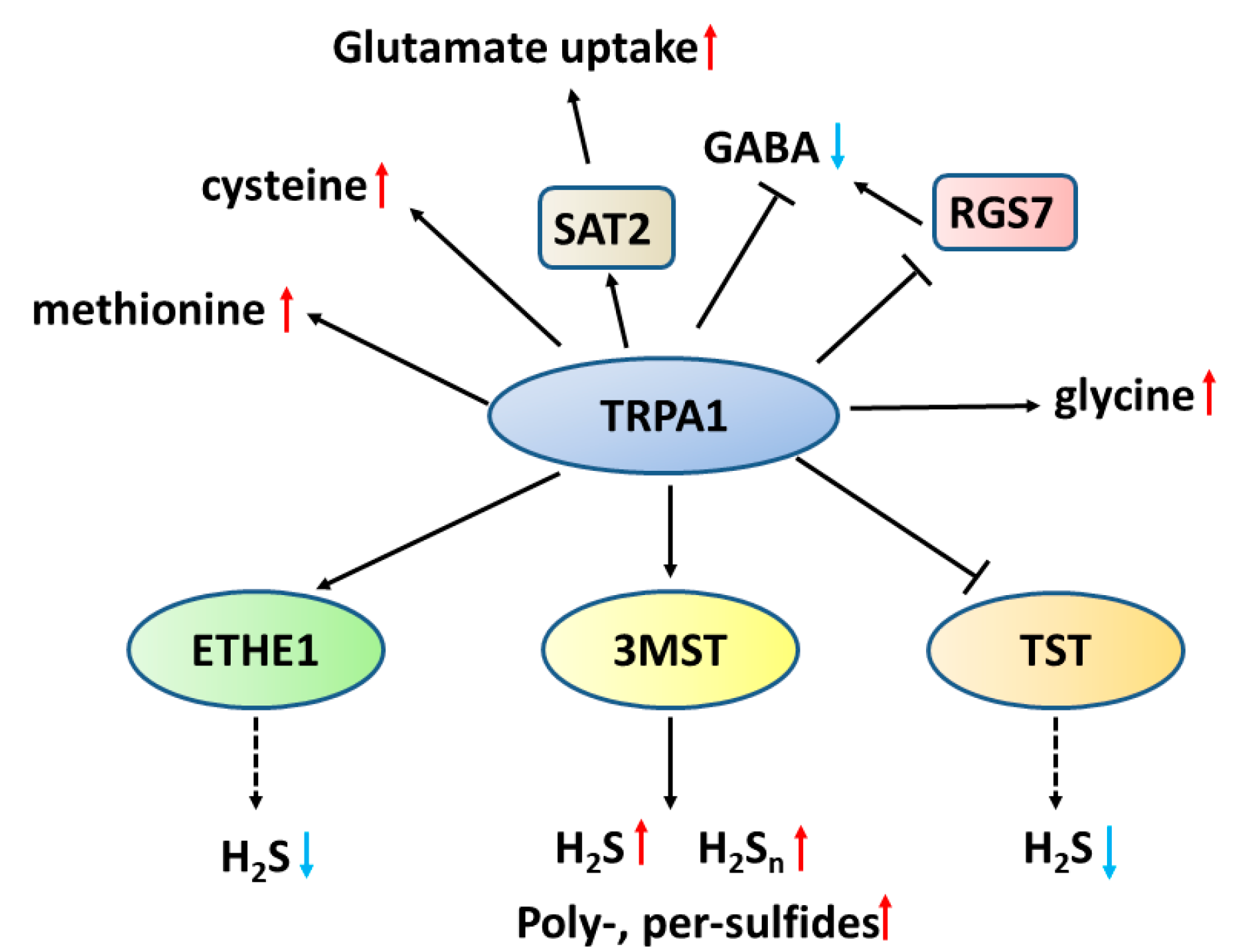 Biomolecules 14 00129 g009