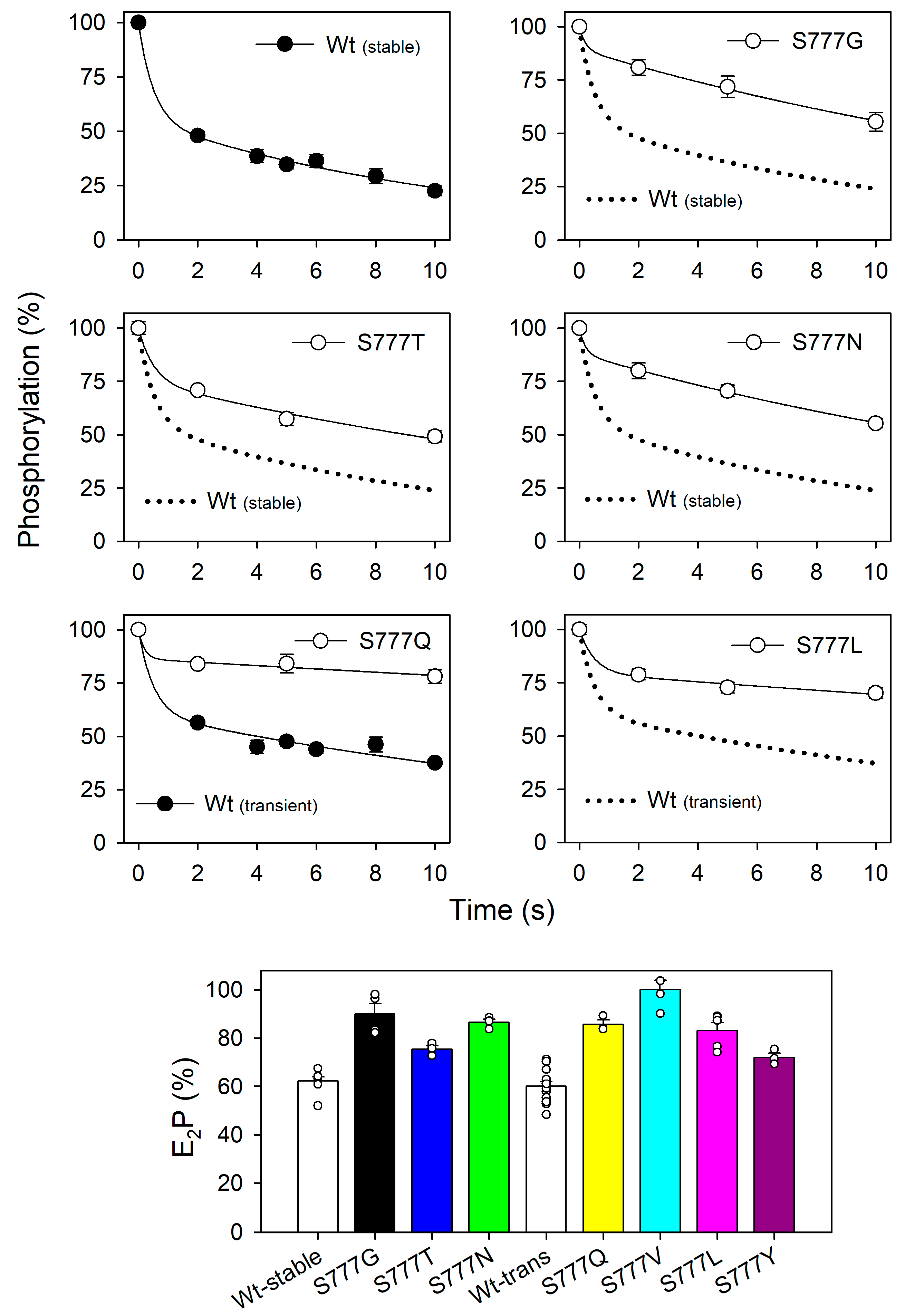 Biomolecules 14 00135 g005
