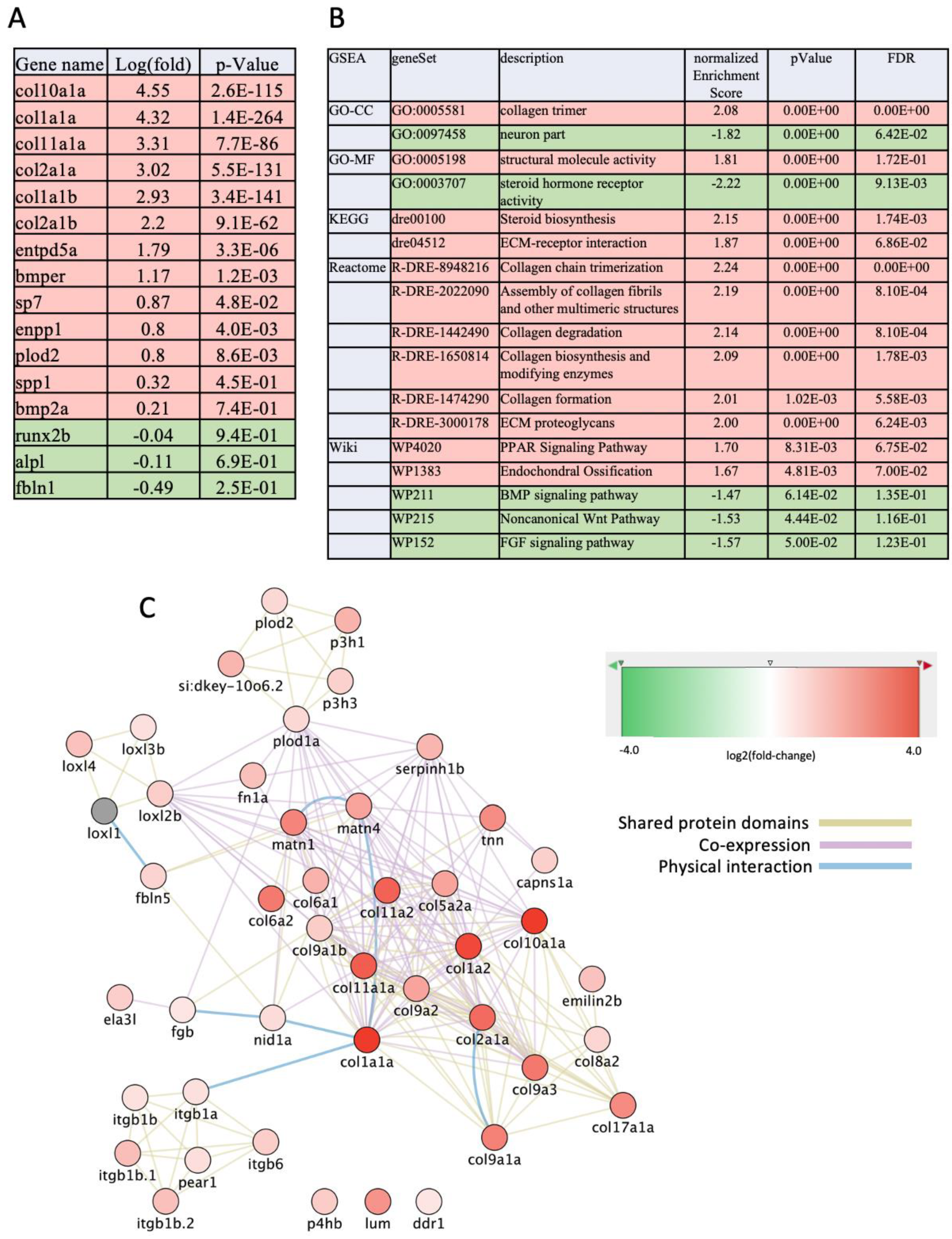 Biomolecules 14 00139 g008 Biomolecules 14 00139 g008