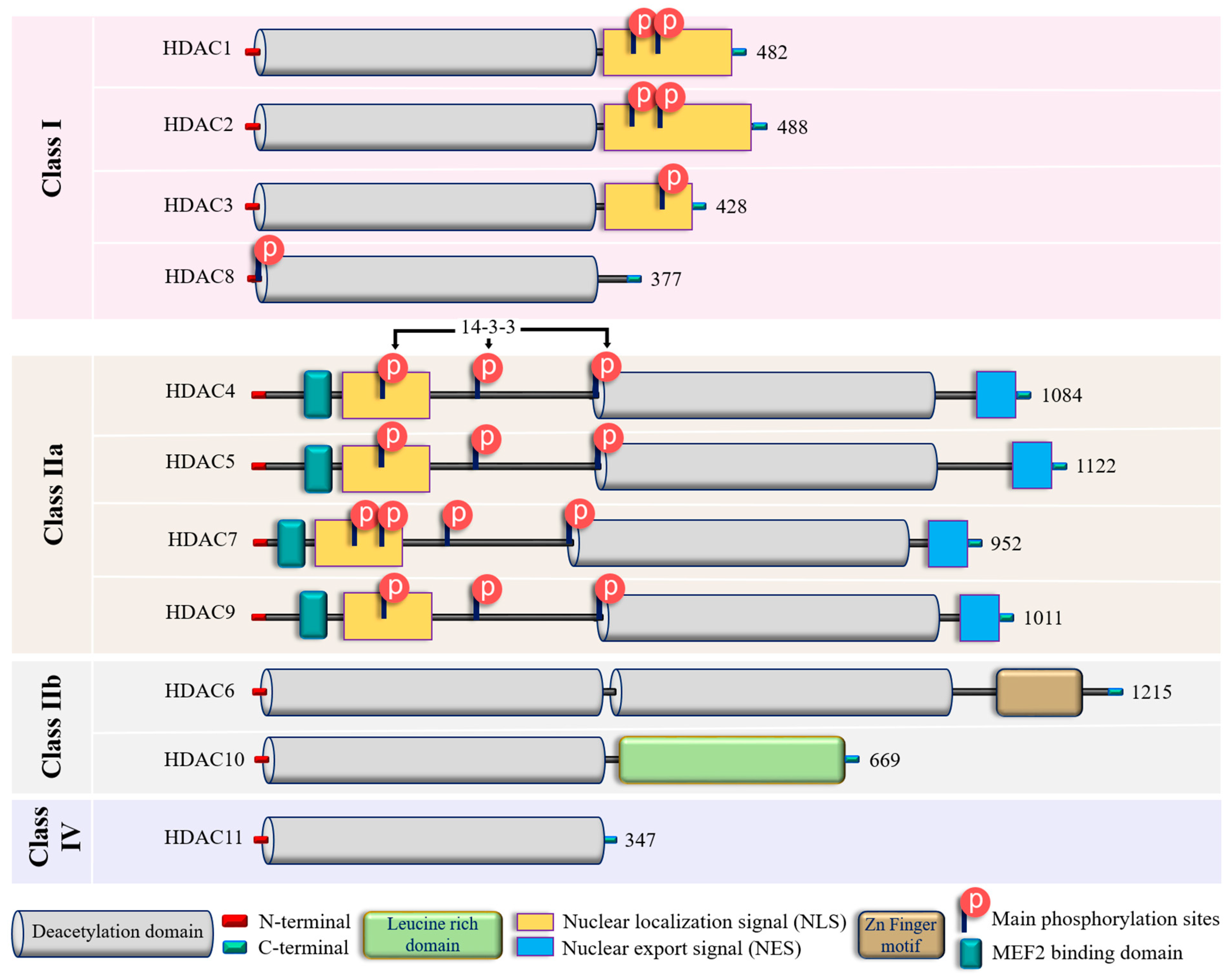 Biomolecules 14 00140 g002 Biomolecules 14 00140 g002