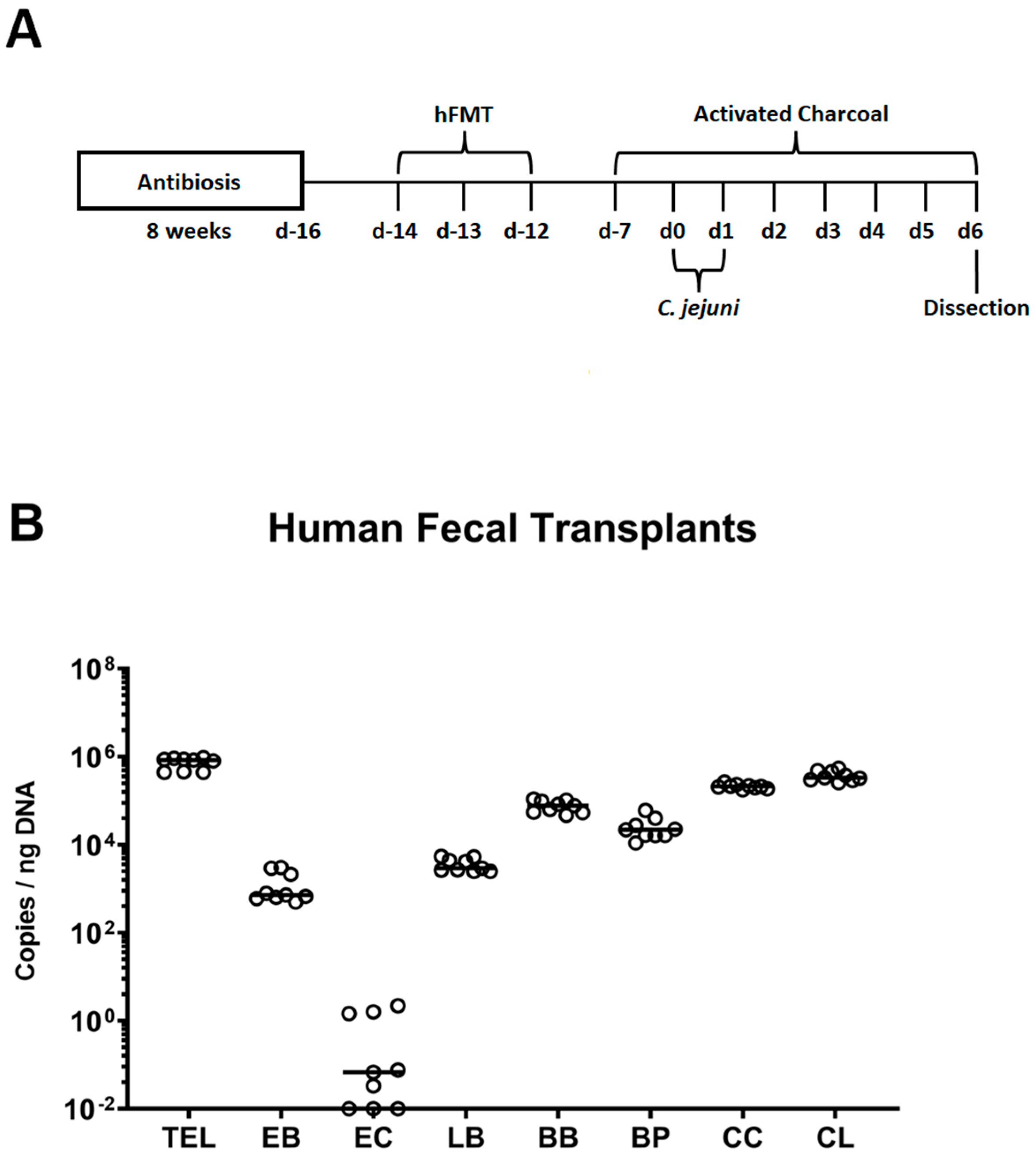 Biomolecules 14 00141 g001 Biomolecules 14 00141 g001