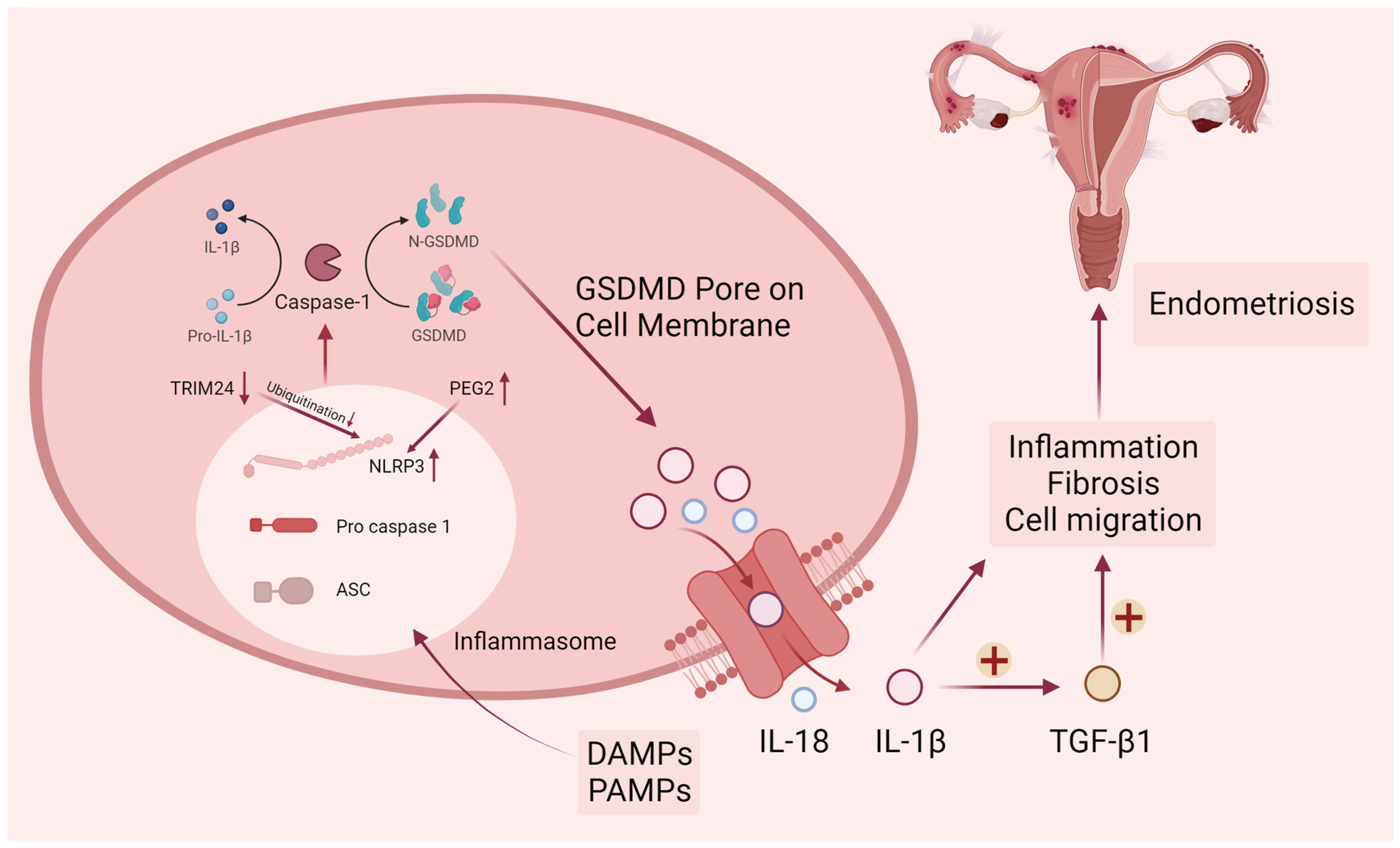 Biomolecules 14 00142 g002