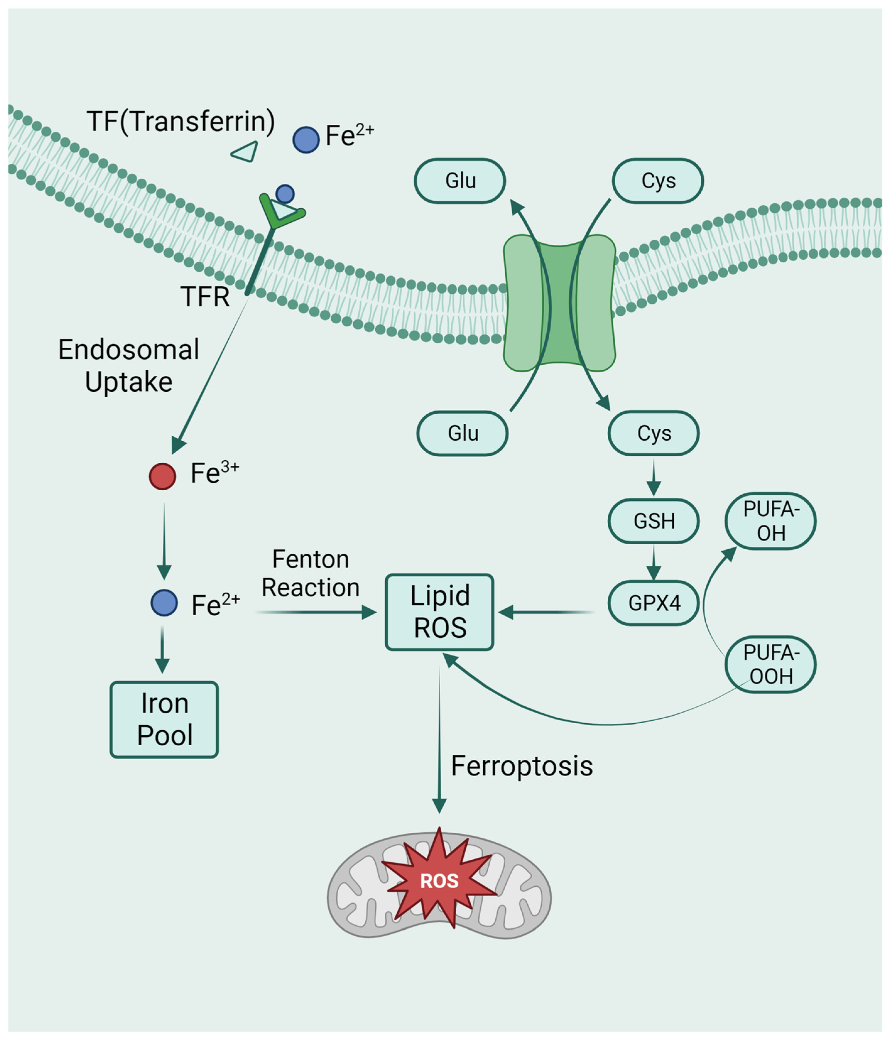 Biomolecules 14 00142 g003