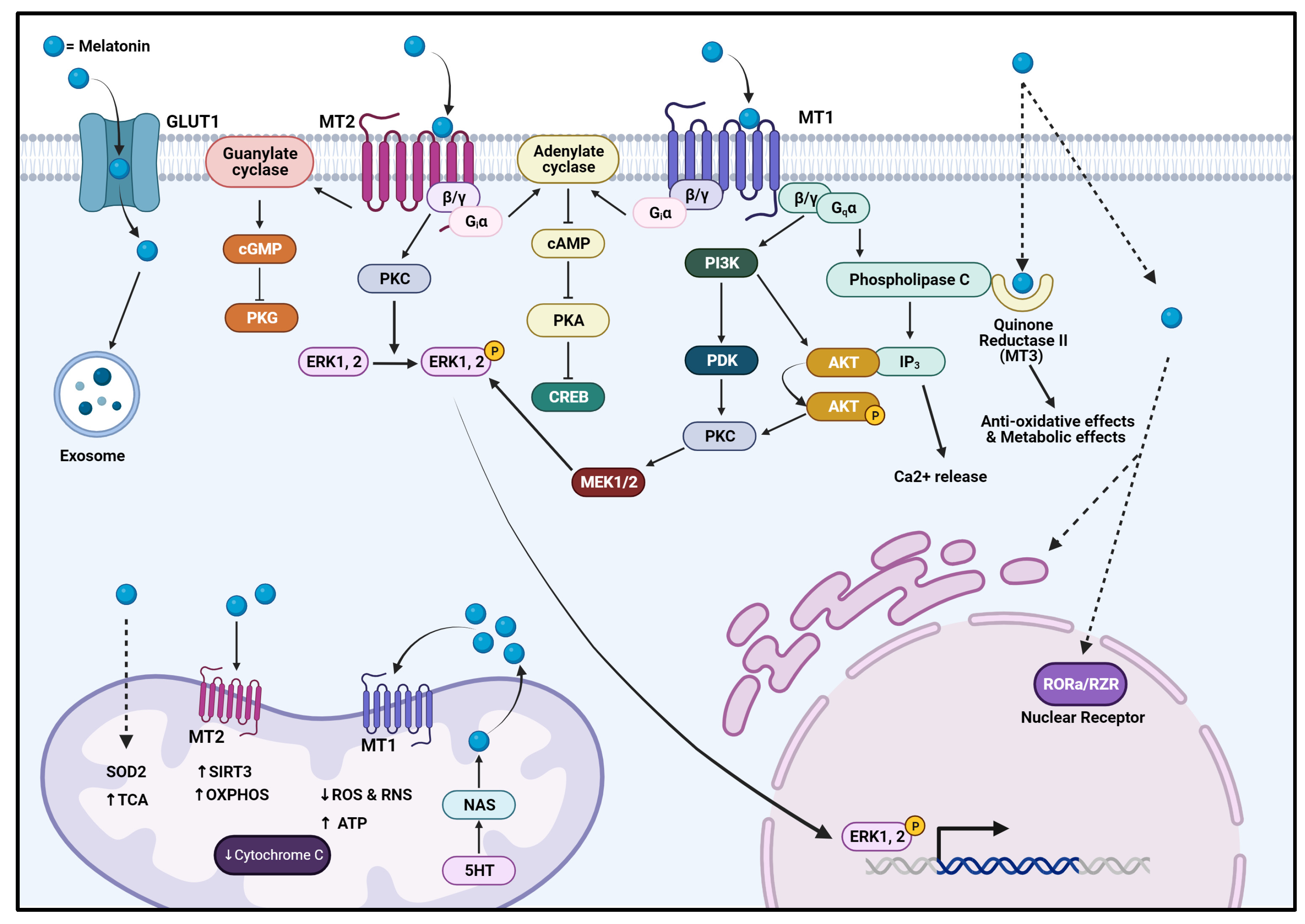 Biomolecules 14 00145 g001