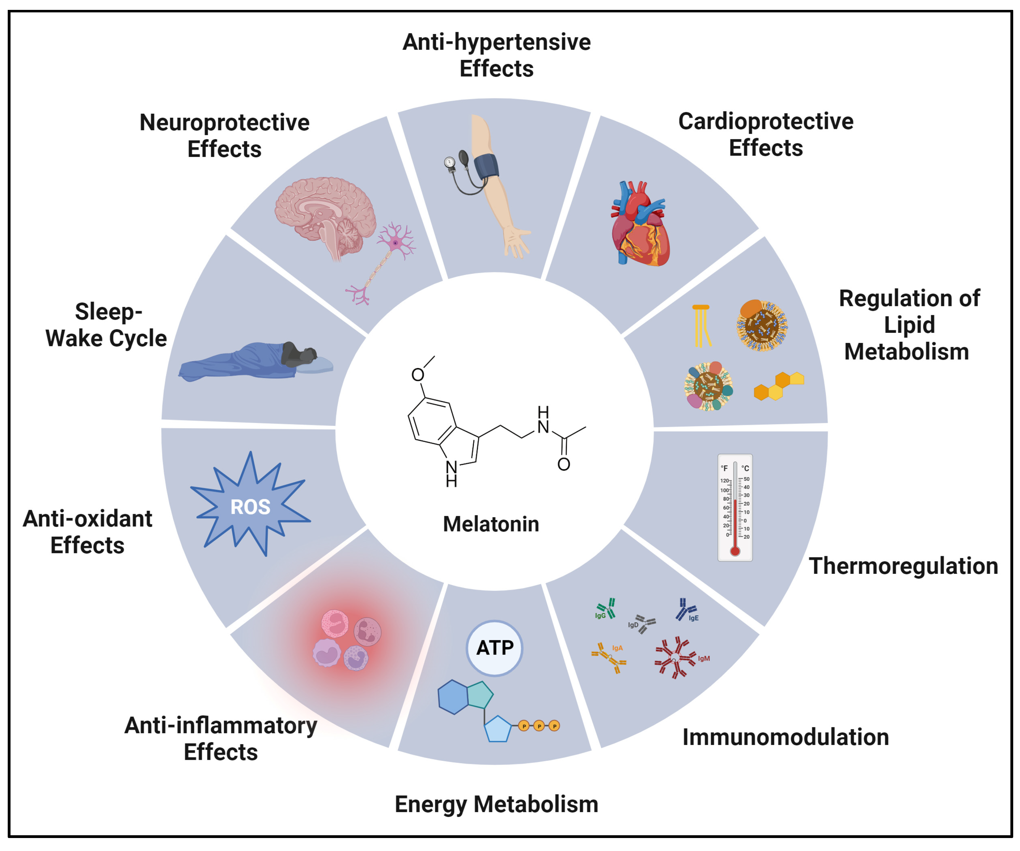 Biomolecules 14 00145 g002