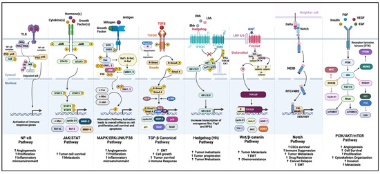 Biomolecules 14 00145 g003