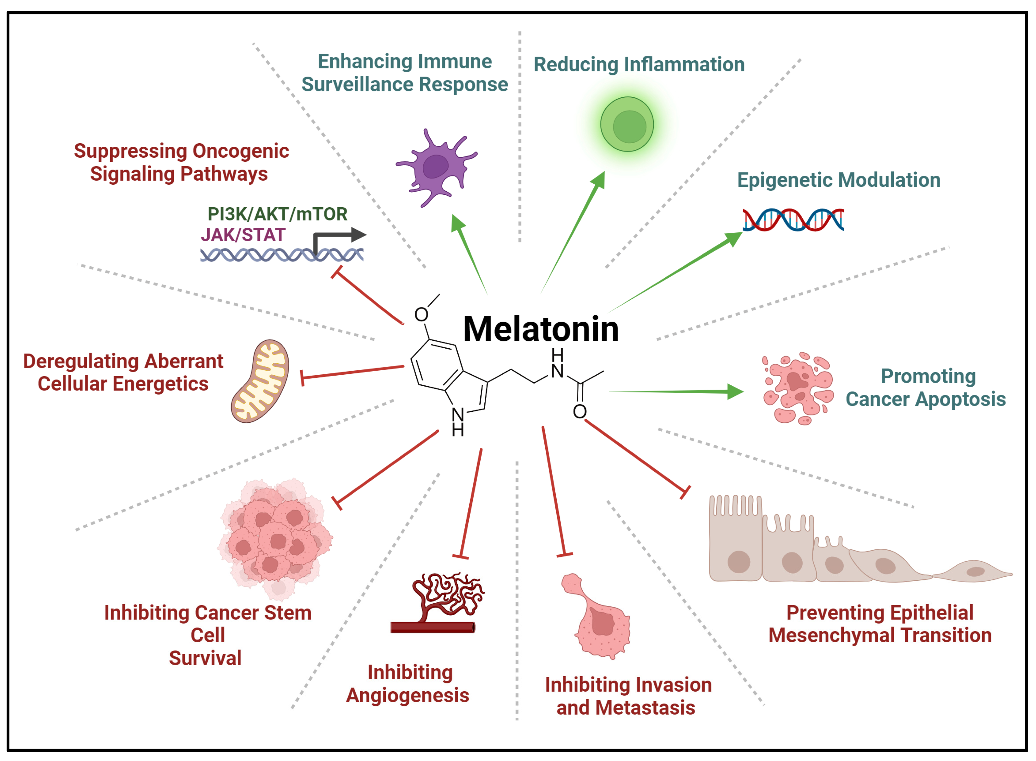 Biomolecules 14 00145 g005