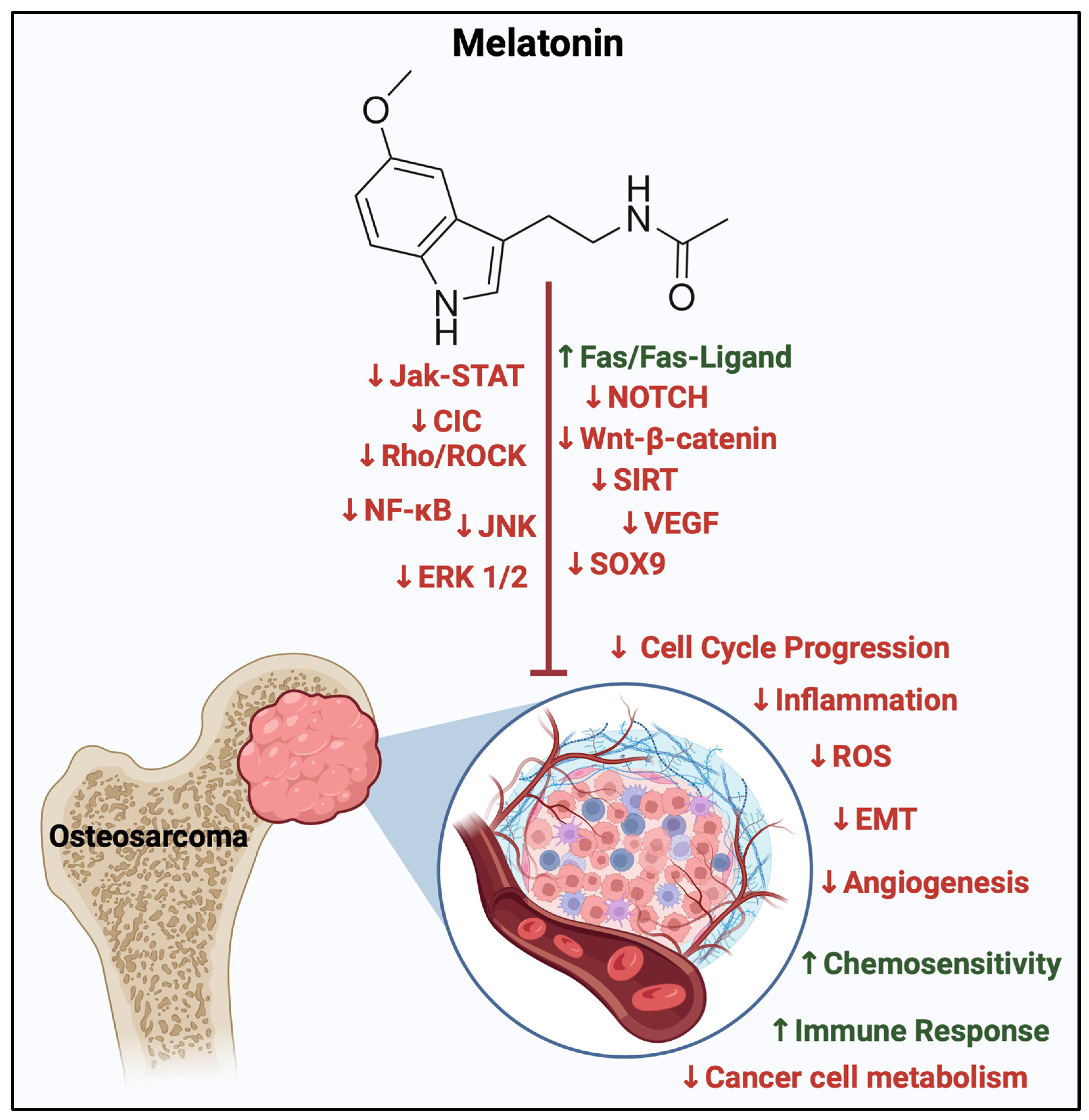 Biomolecules 14 00145 g006
