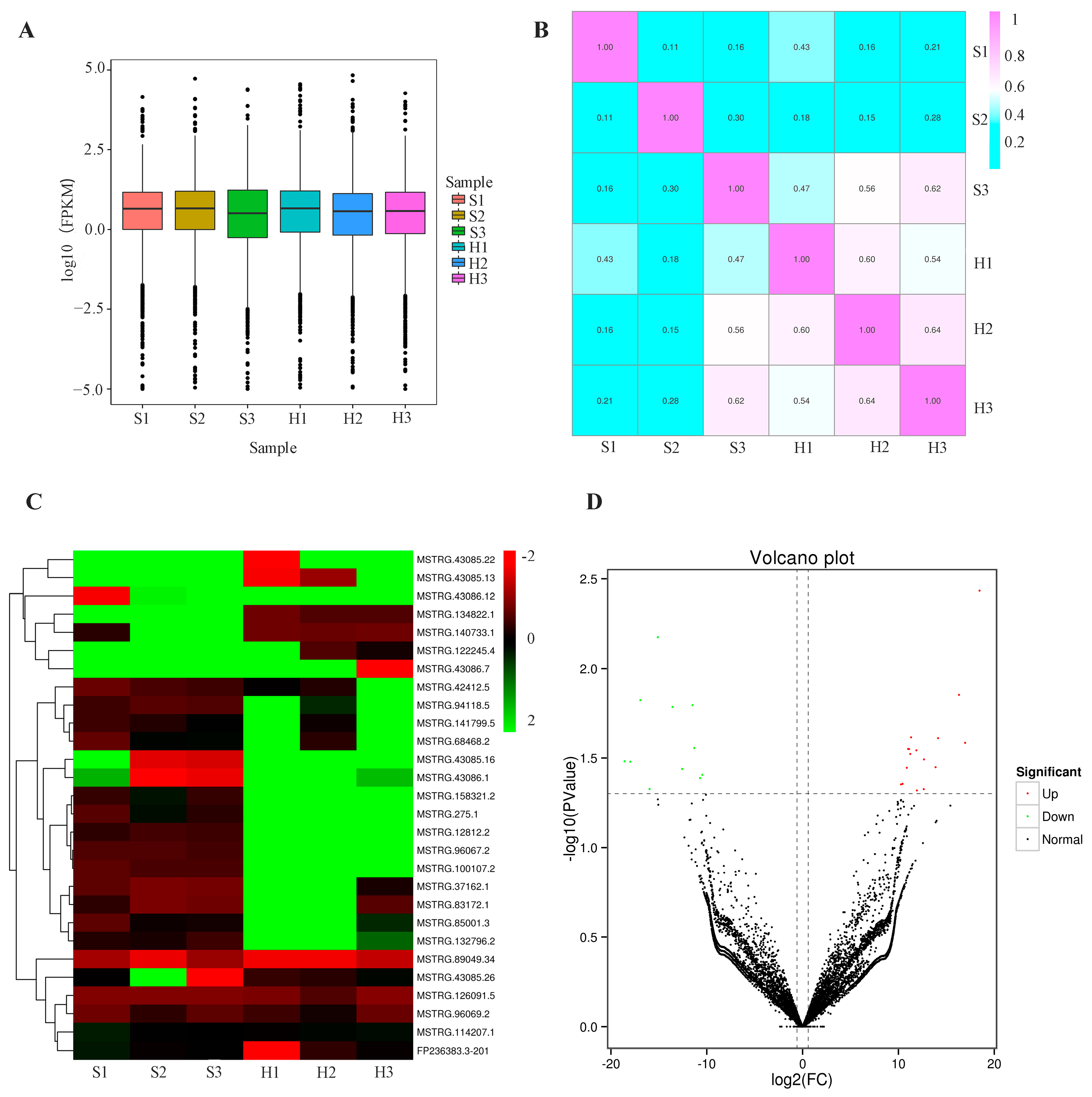 Biomolecules 14 00146 g001