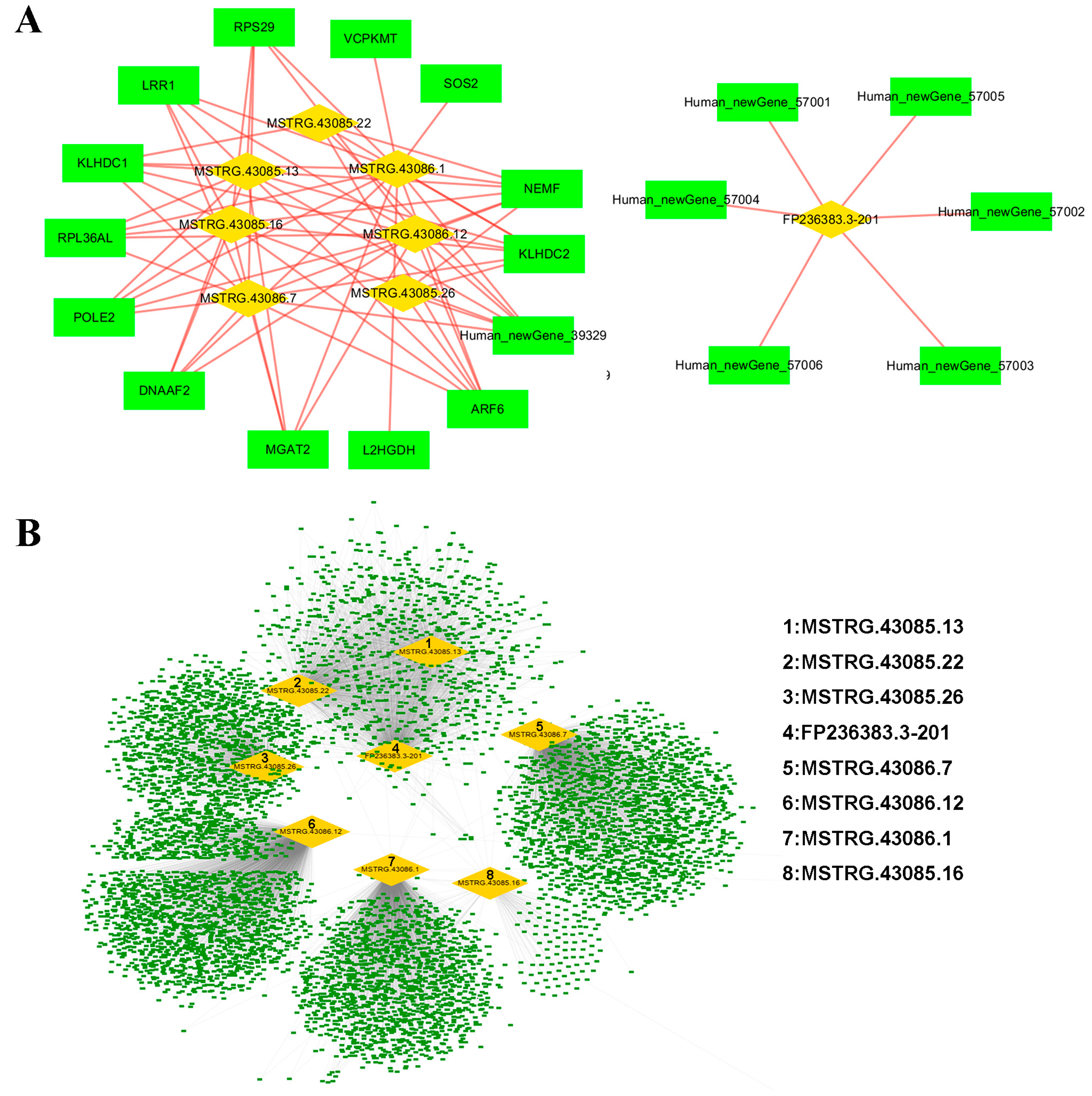 Biomolecules 14 00146 g003