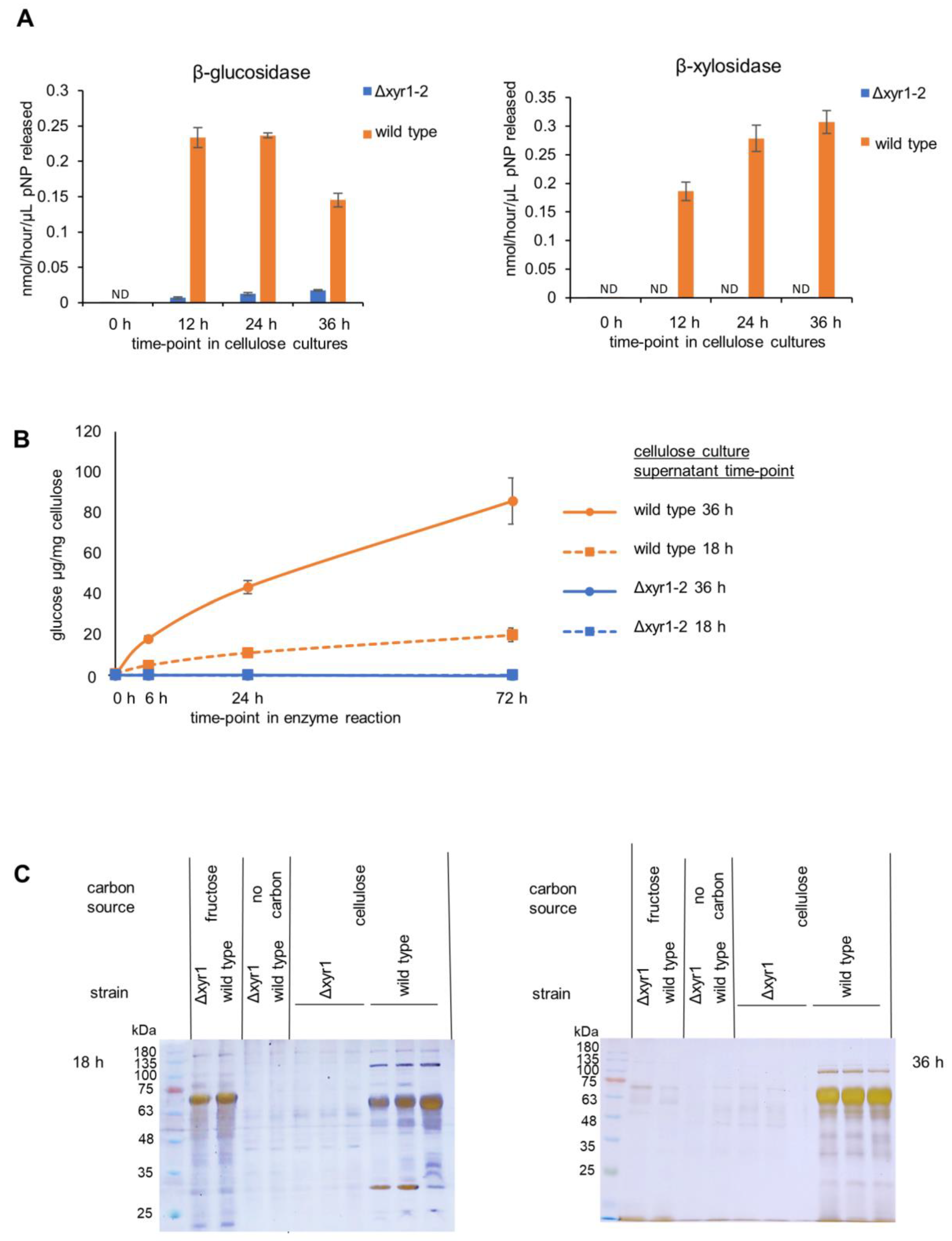Biomolecules 14 00148 g003