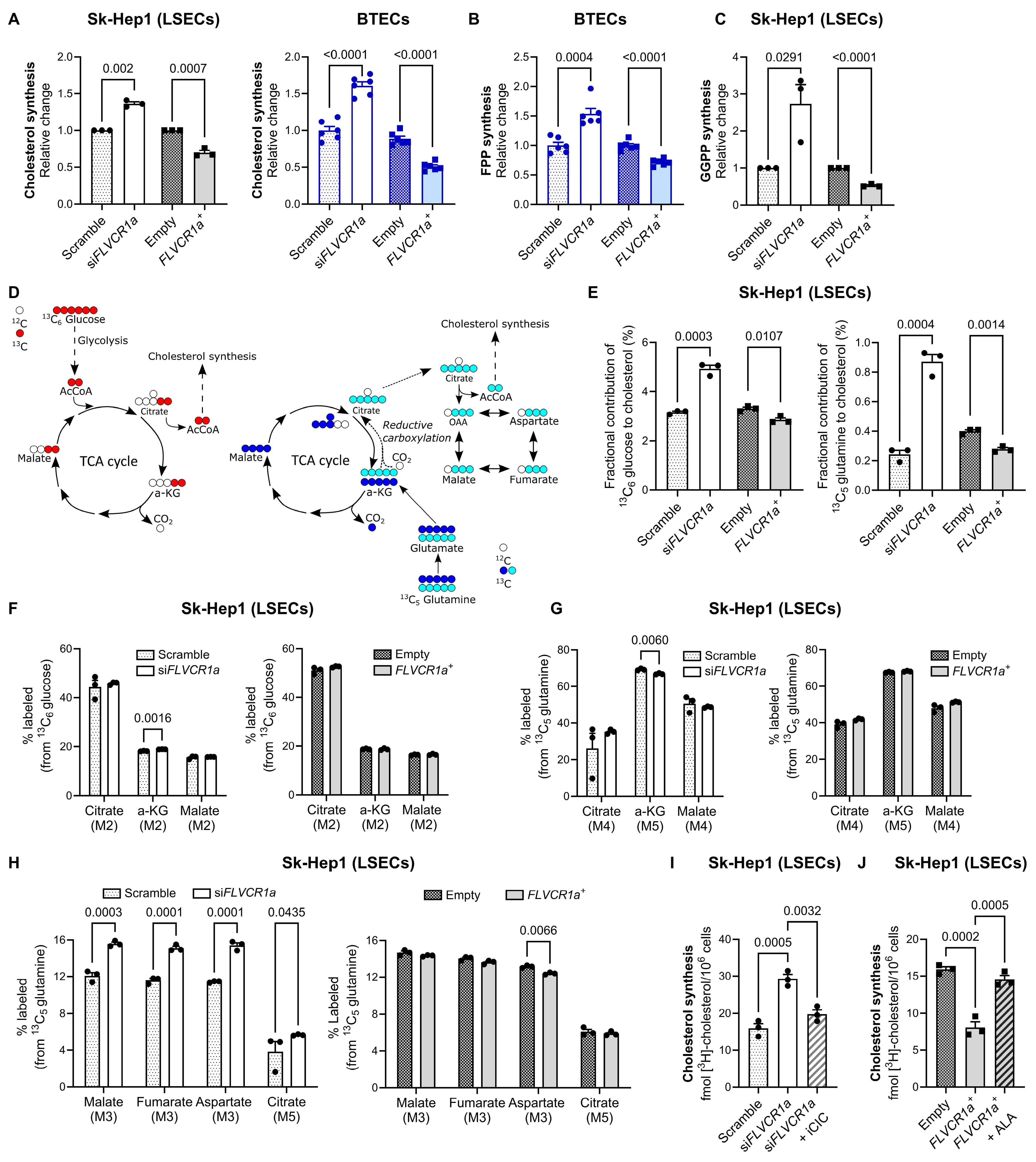 Biomolecules 14 00149 g002