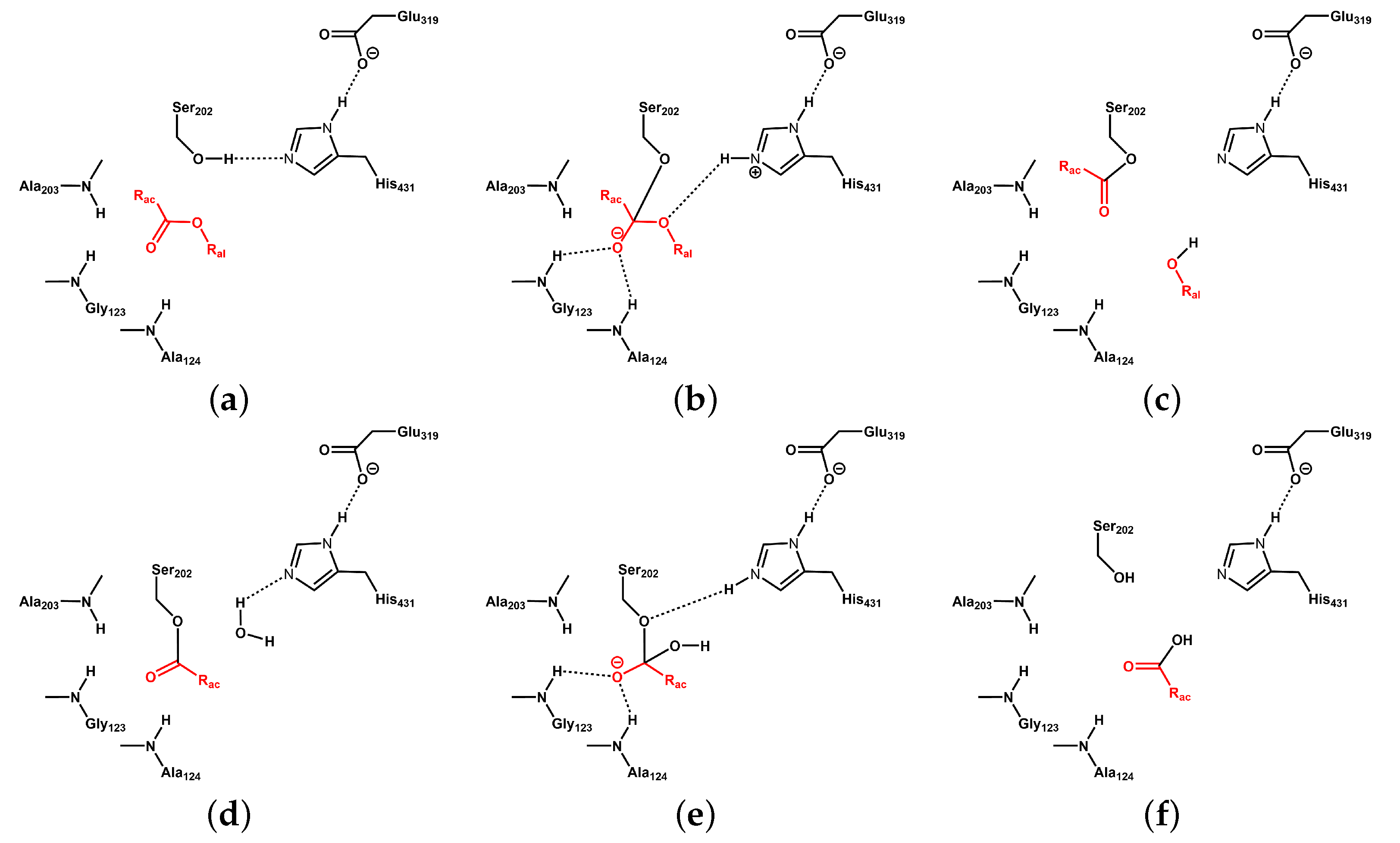 Biomolecules 14 00153 g001