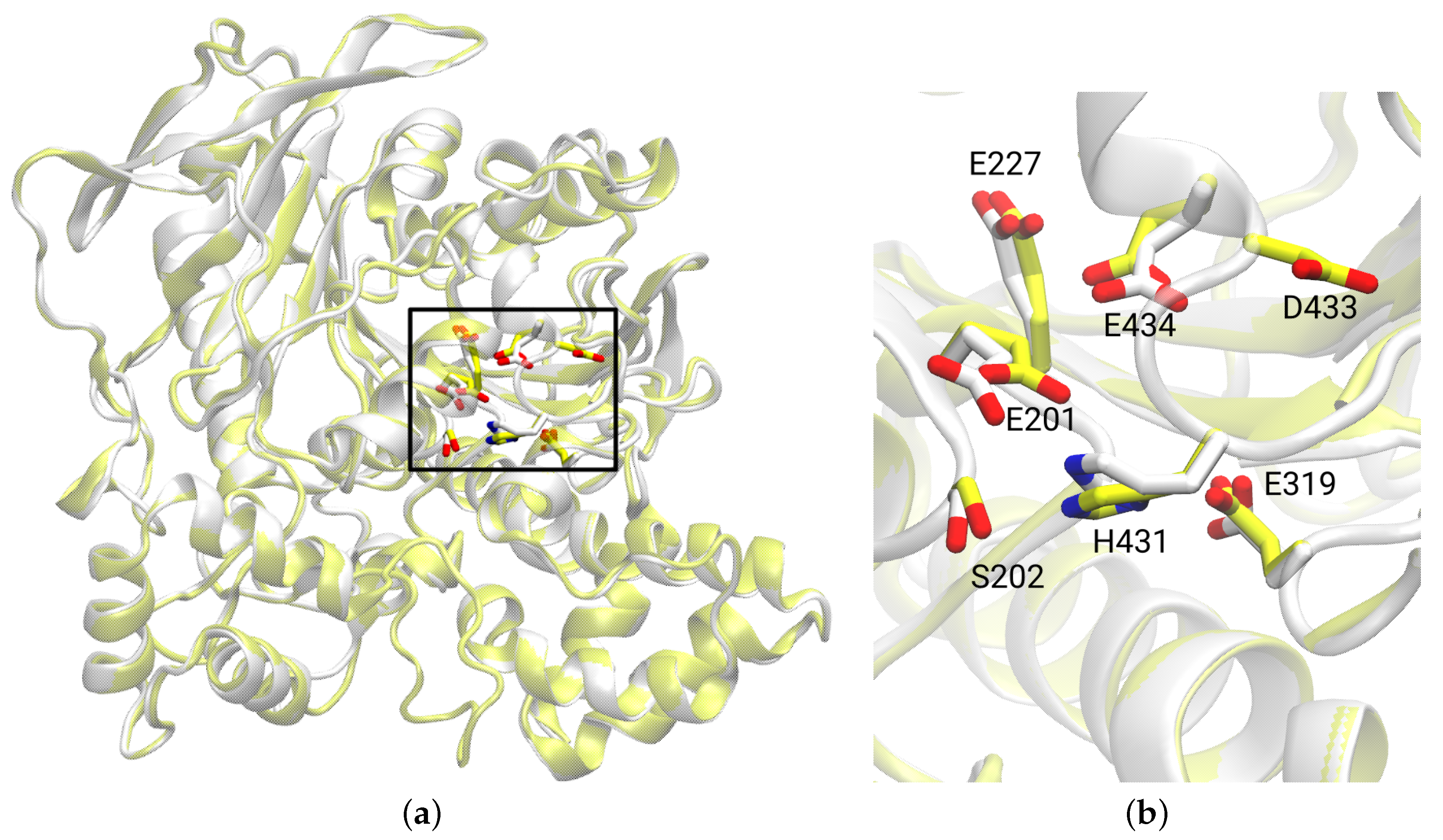 Biomolecules 14 00153 g003