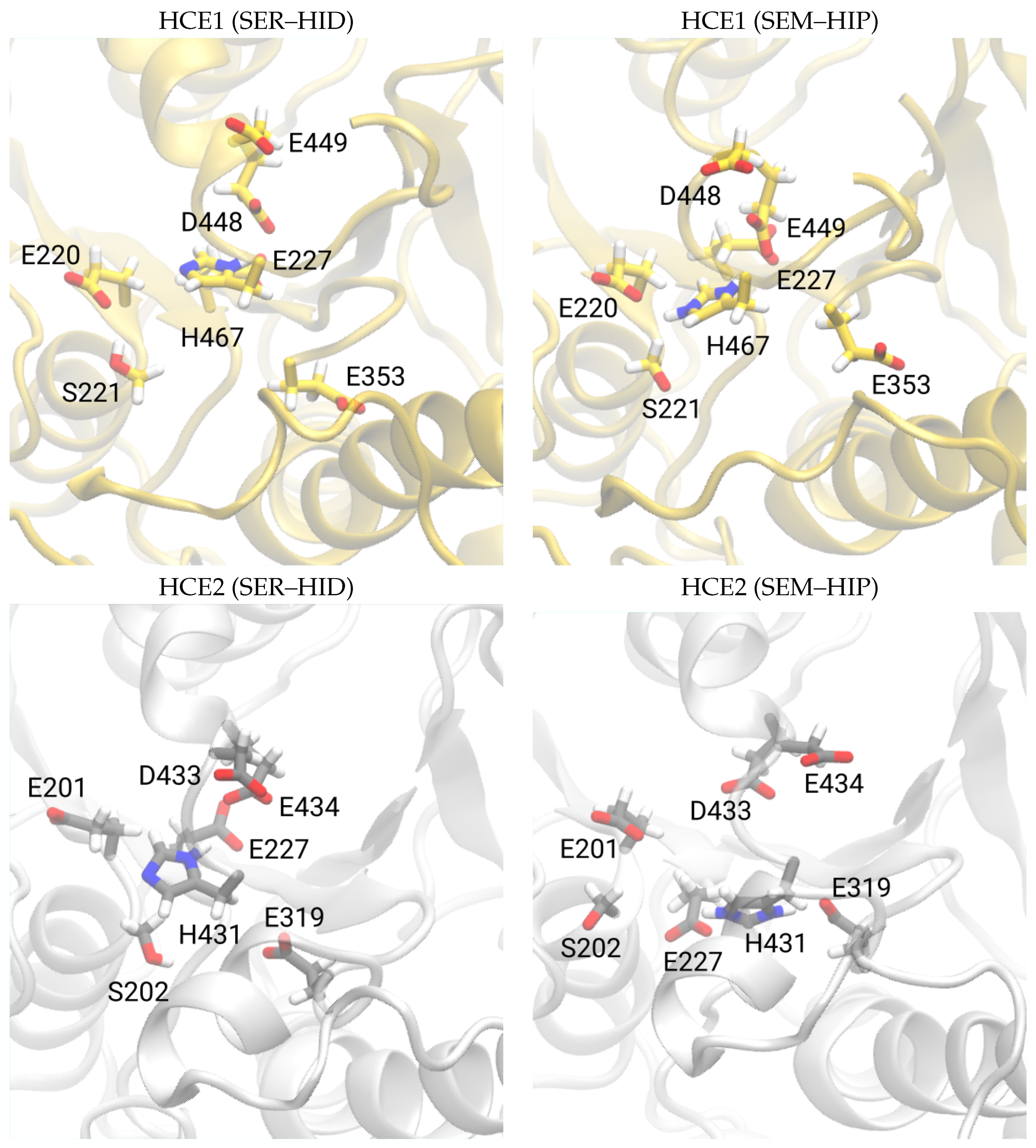 Biomolecules 14 00153 g004