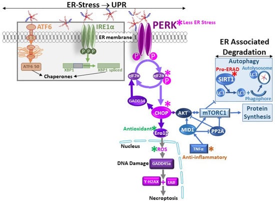 Biomolecules 14 00154 g002