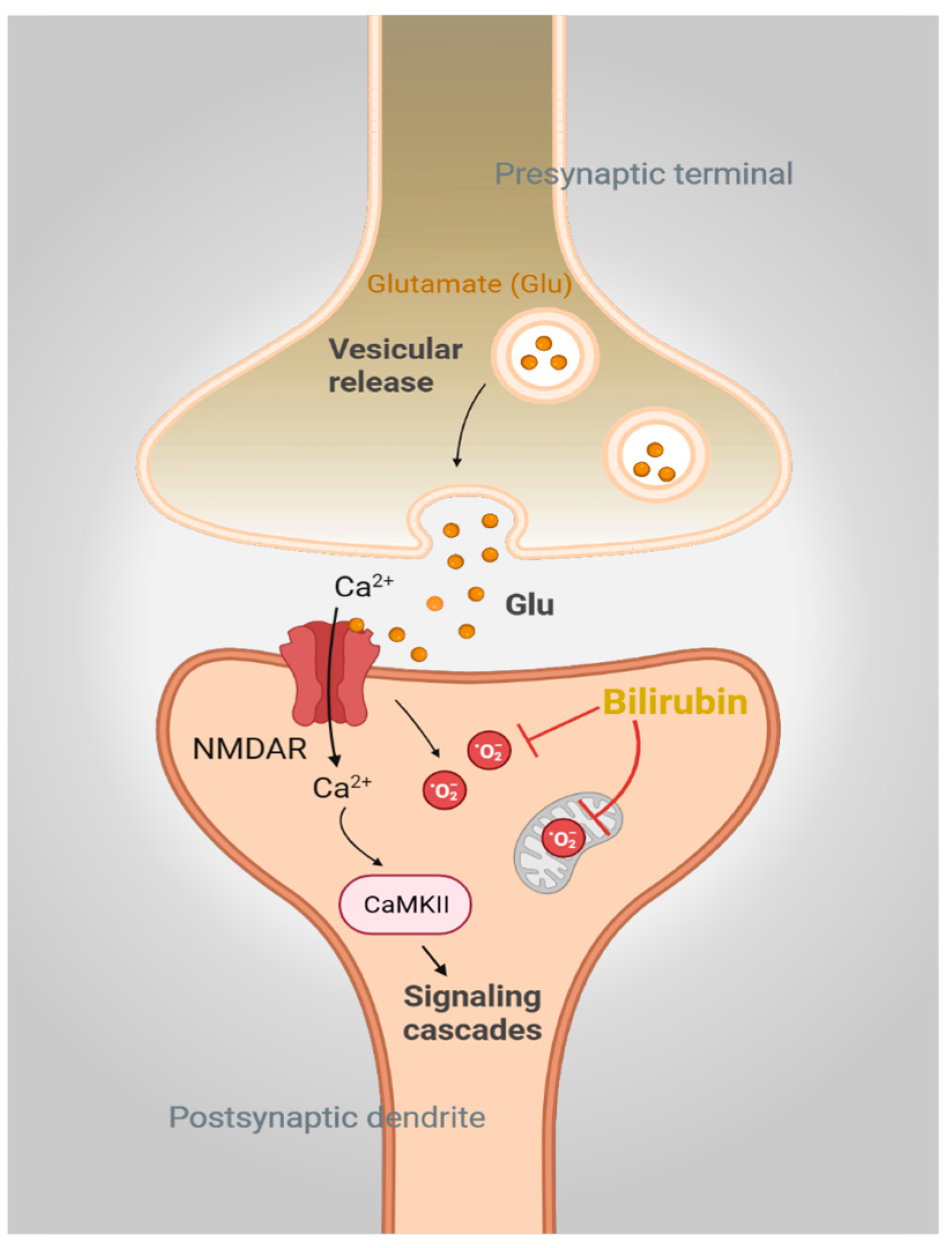 Biomolecules 14 00155 g002