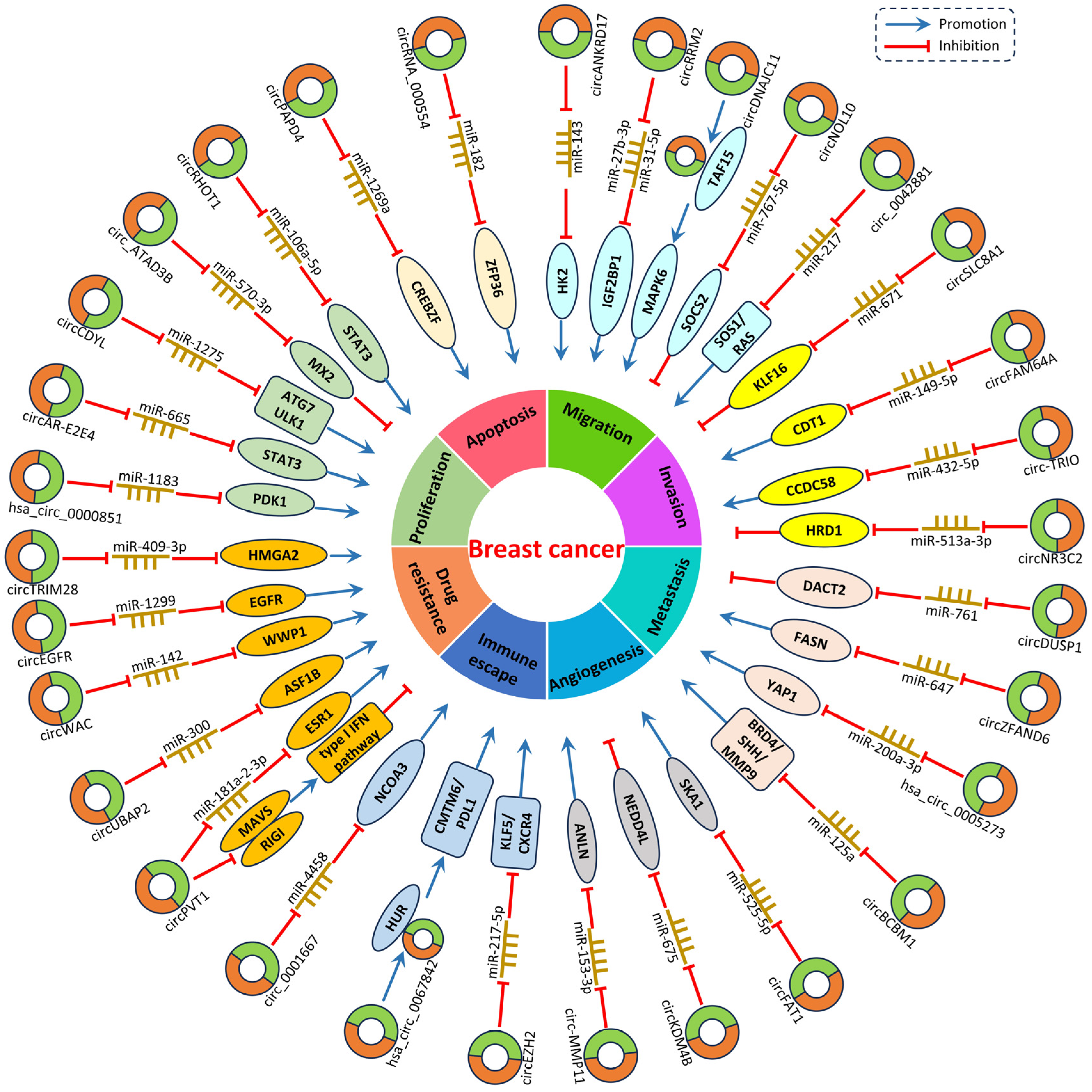 Biomolecules 14 00158 g001 Biomolecules 14 00158 g001