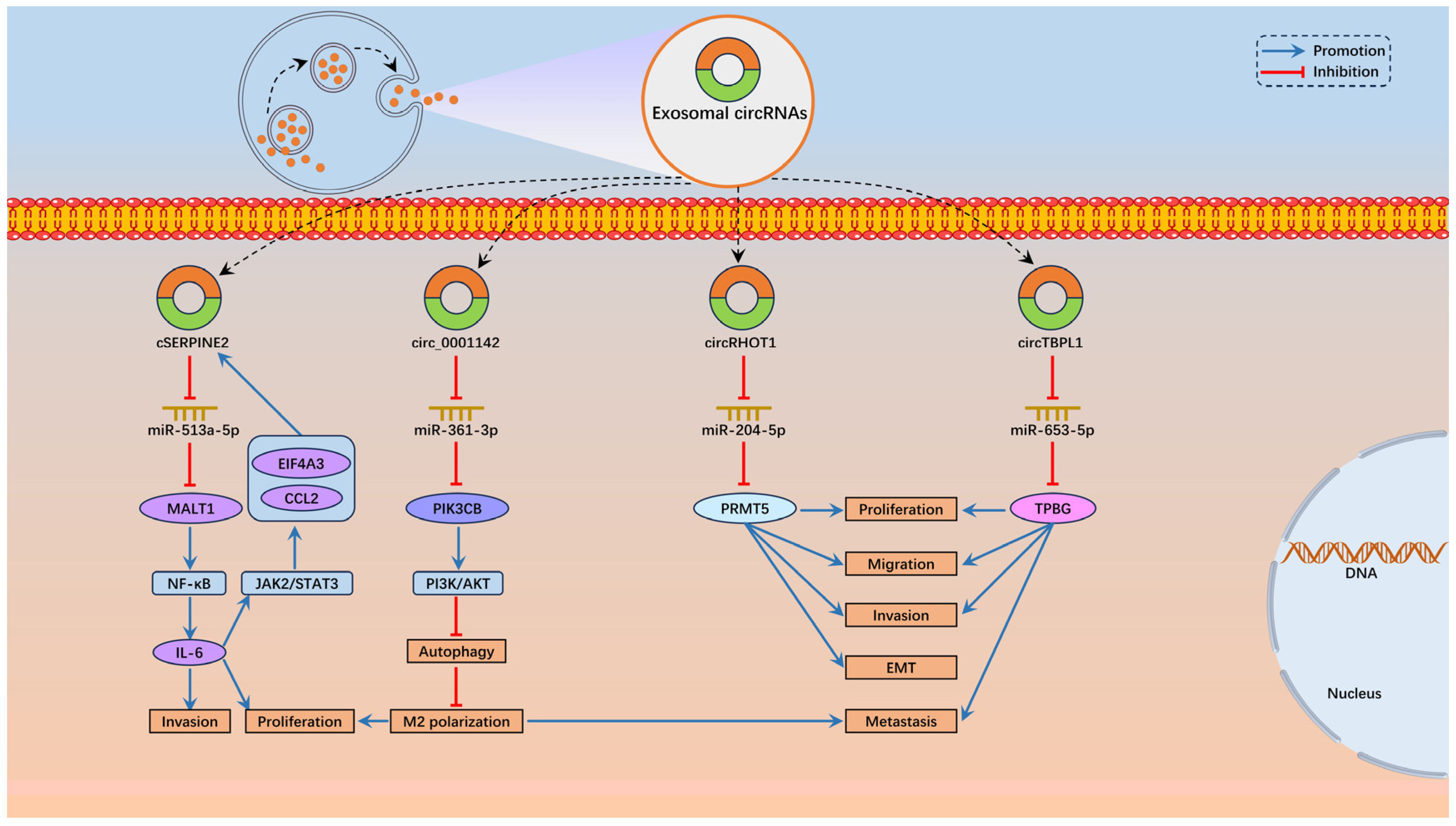 Biomolecules 14 00158 g002 Biomolecules 14 00158 g002