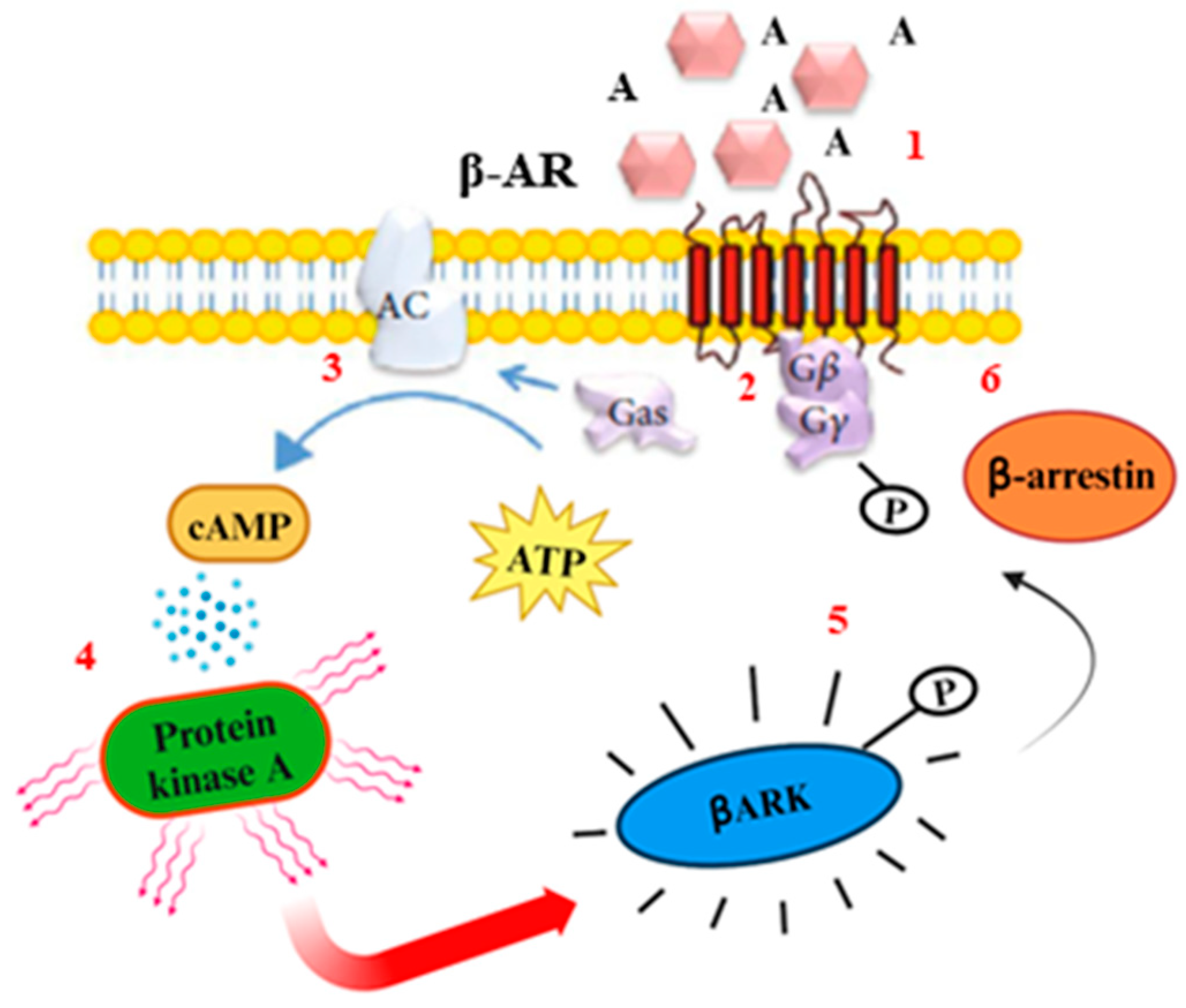Biomolecules 14 00159 g002 Biomolecules 14 00159 g002