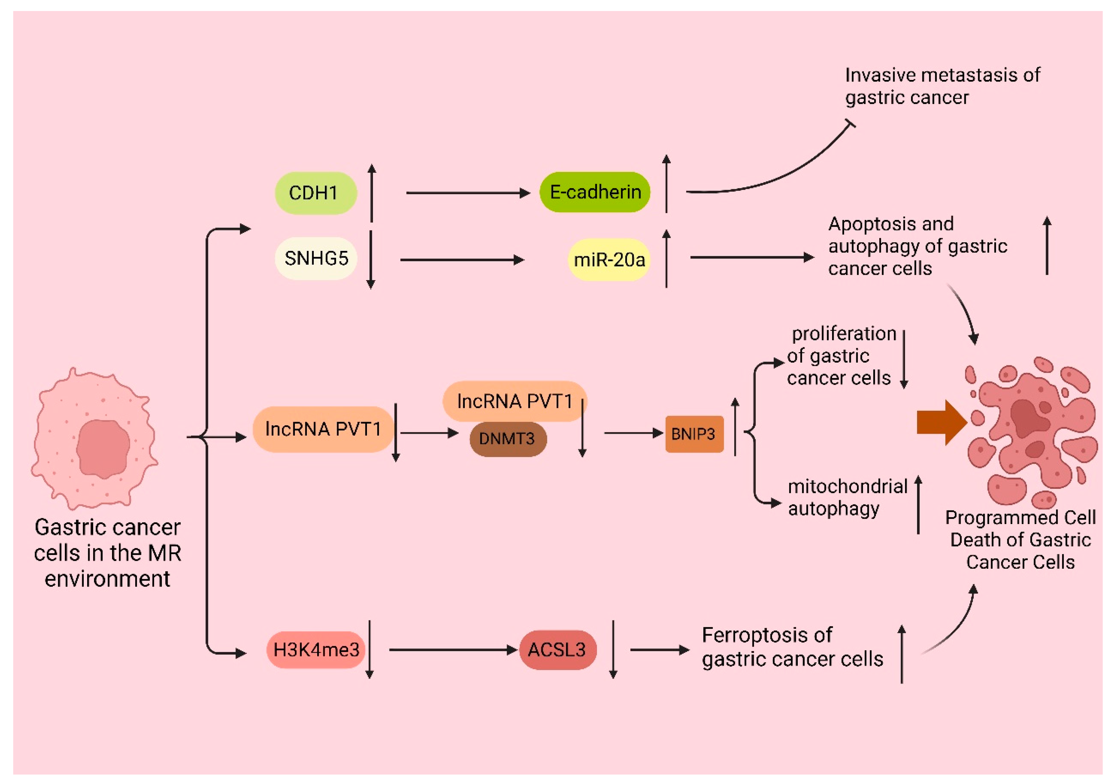 Biomolecules 14 00161 g003