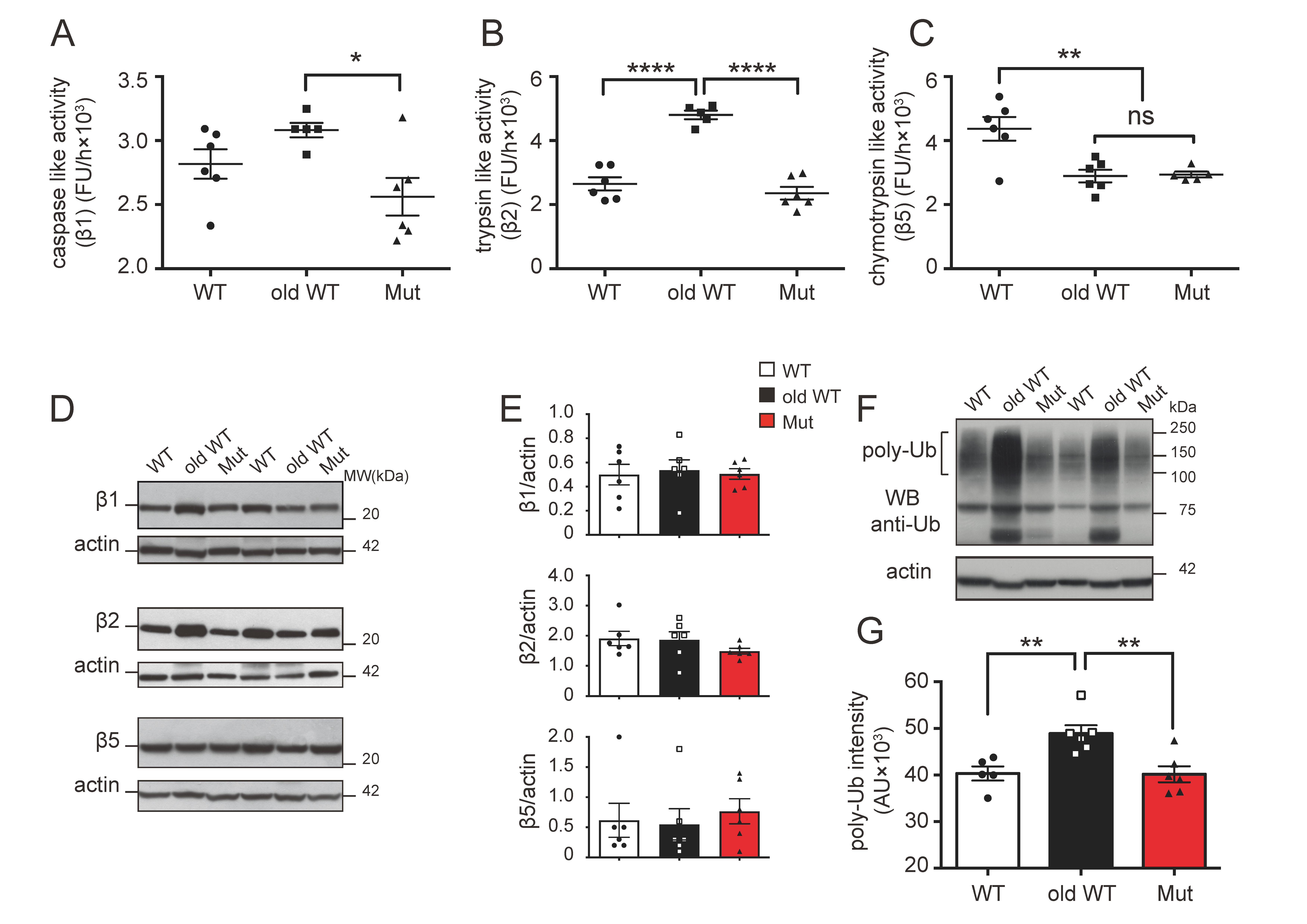 Biomolecules 14 00162 g001 Biomolecules 14 00162 g001