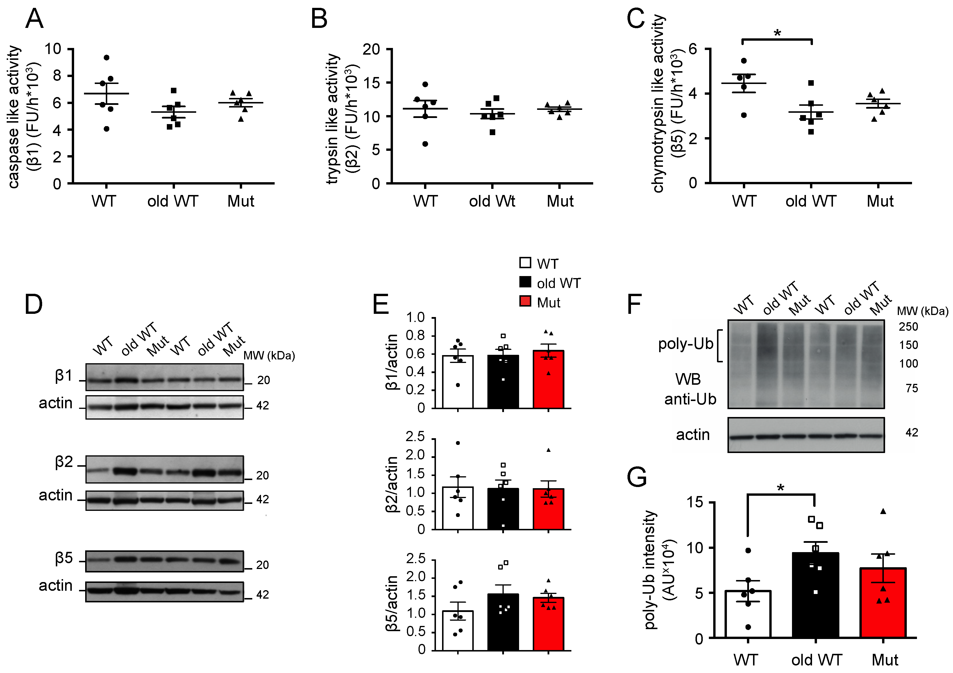 Biomolecules 14 00162 g002 Biomolecules 14 00162 g002