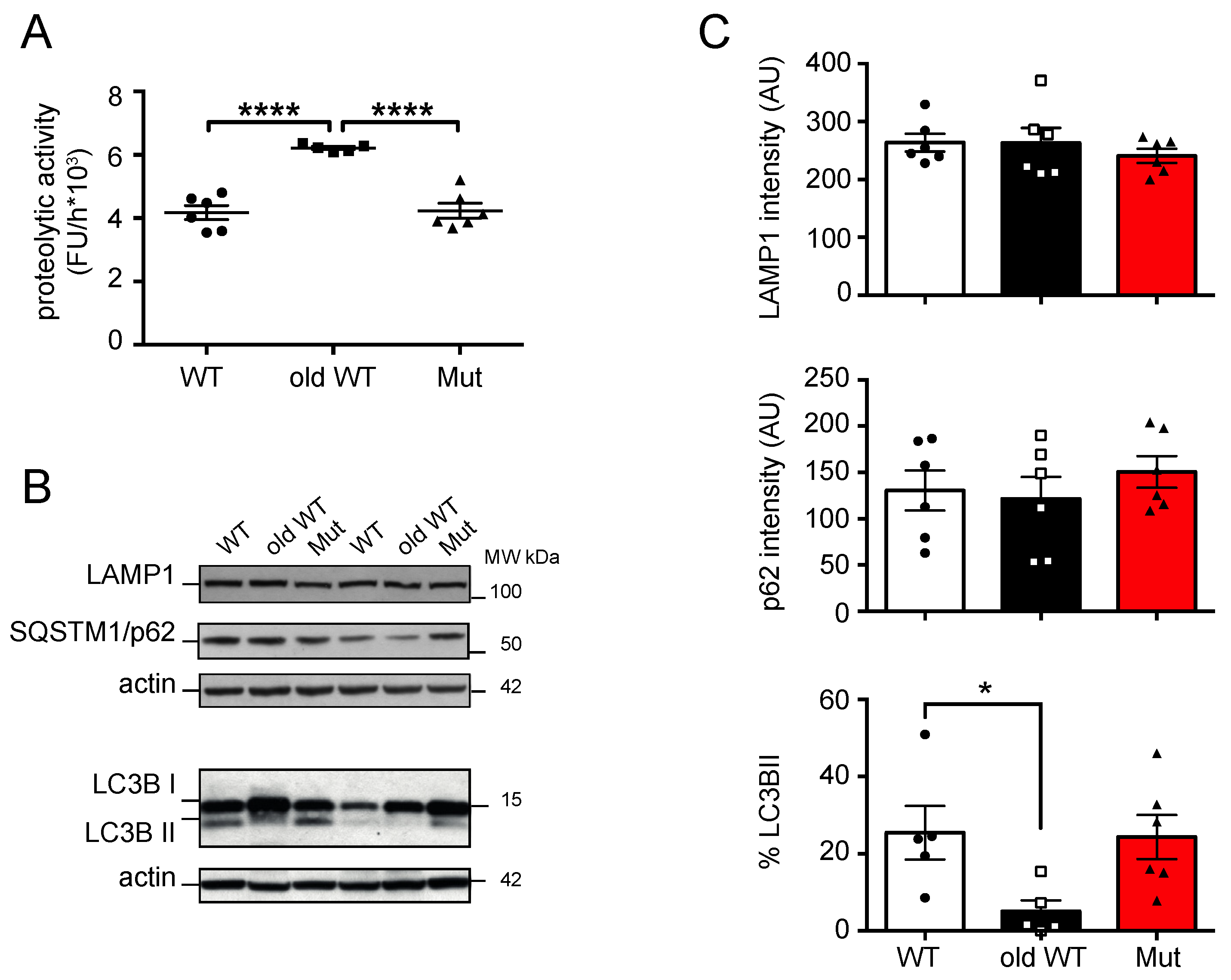 Biomolecules 14 00162 g003 Biomolecules 14 00162 g003