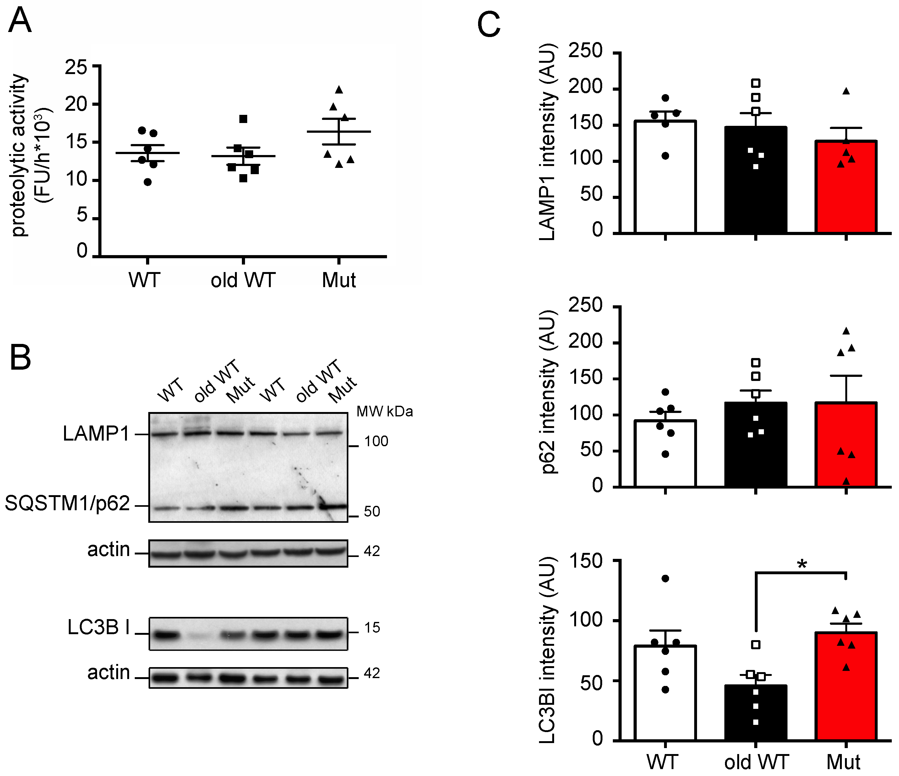 Biomolecules 14 00162 g004 Biomolecules 14 00162 g004