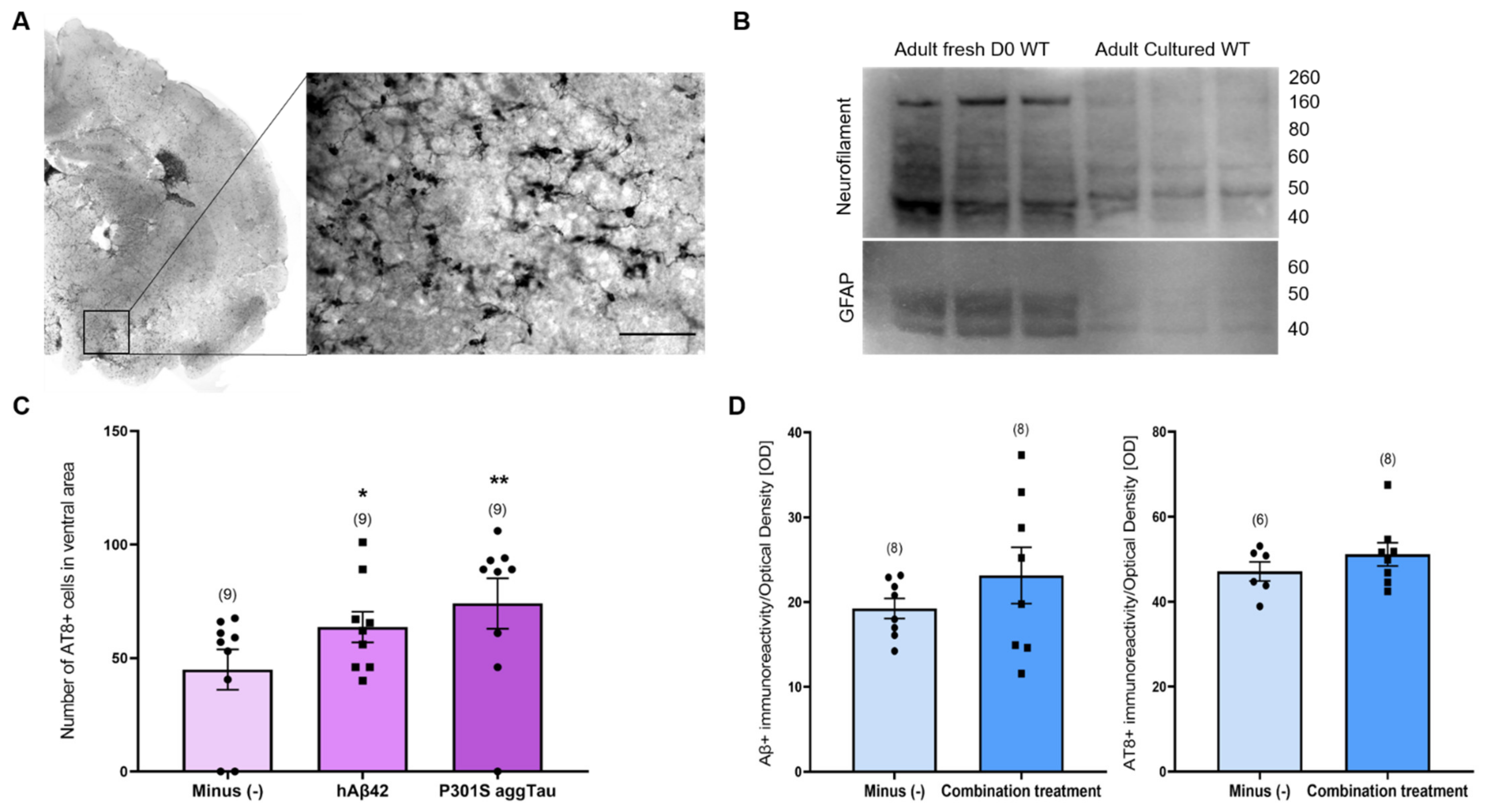 Biomolecules 14 00165 g007