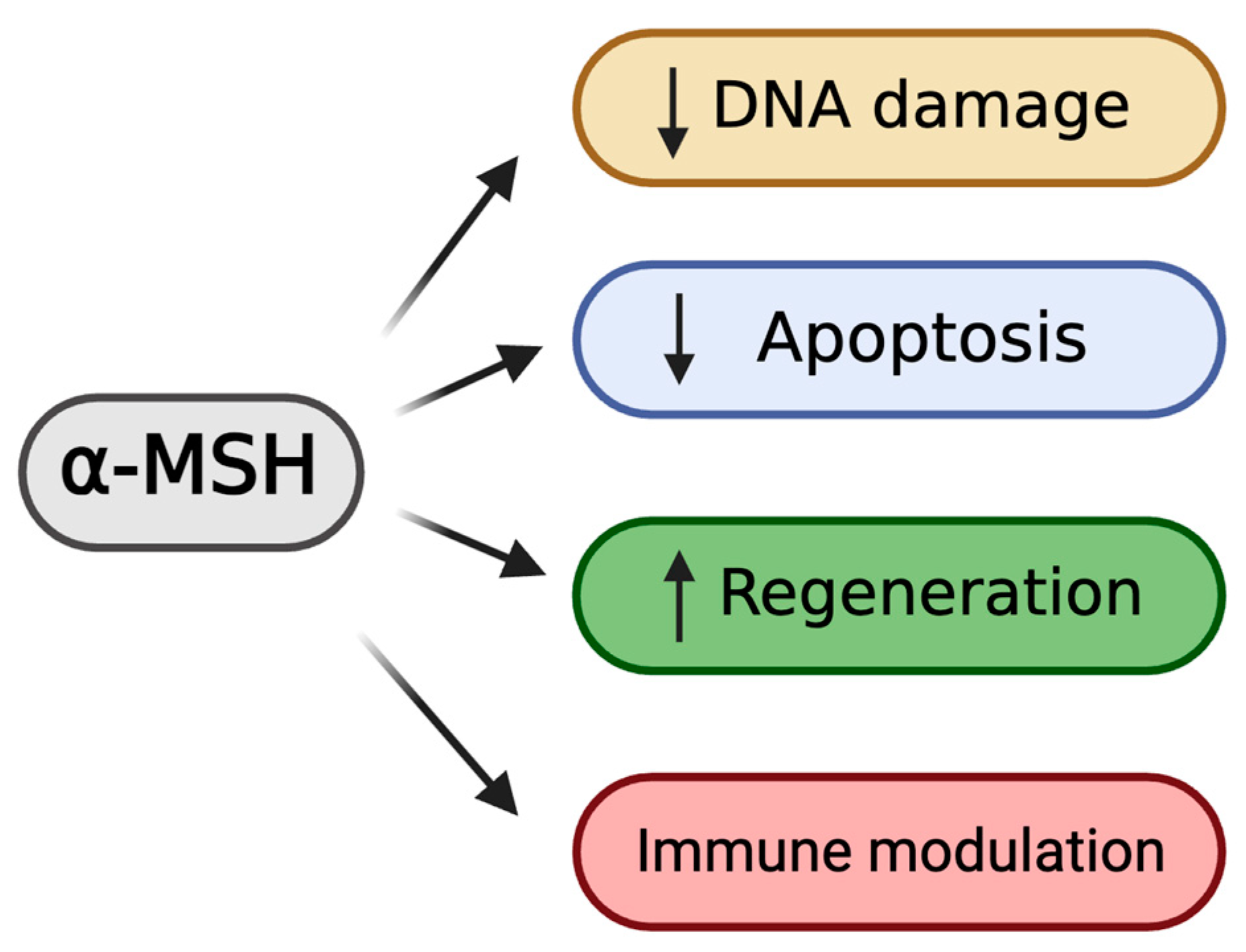 Biomolecules 14 00169 g001 Biomolecules 14 00169 g001