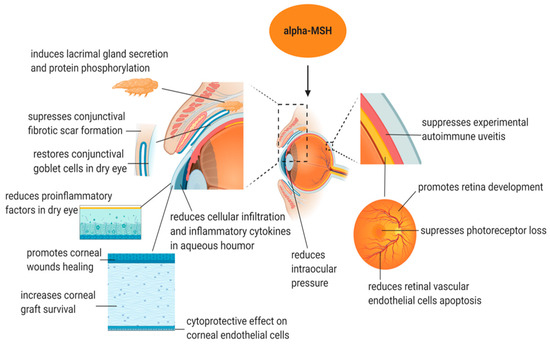 Biomolecules 14 00169 g002