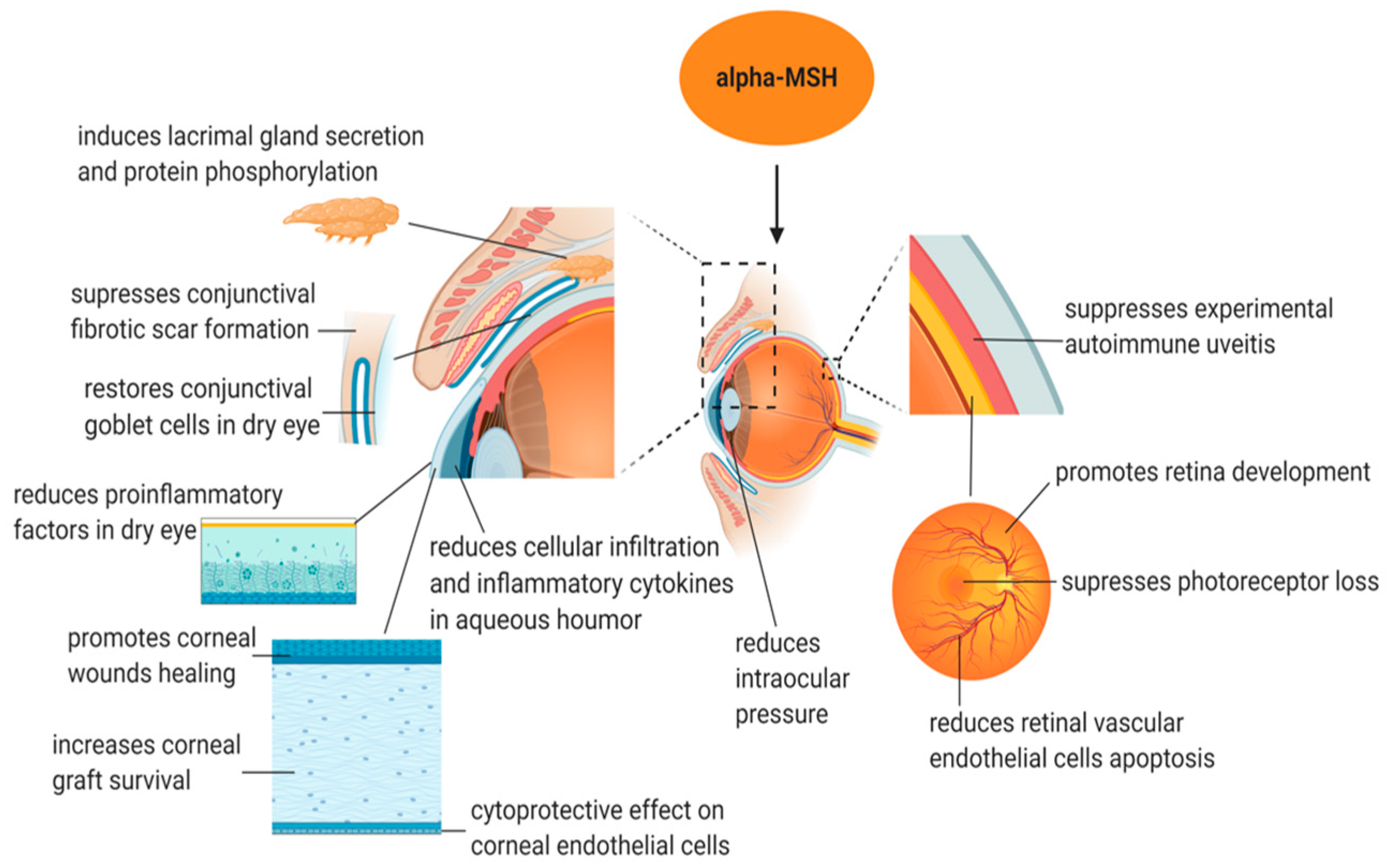 Biomolecules 14 00169 g002 Biomolecules 14 00169 g002