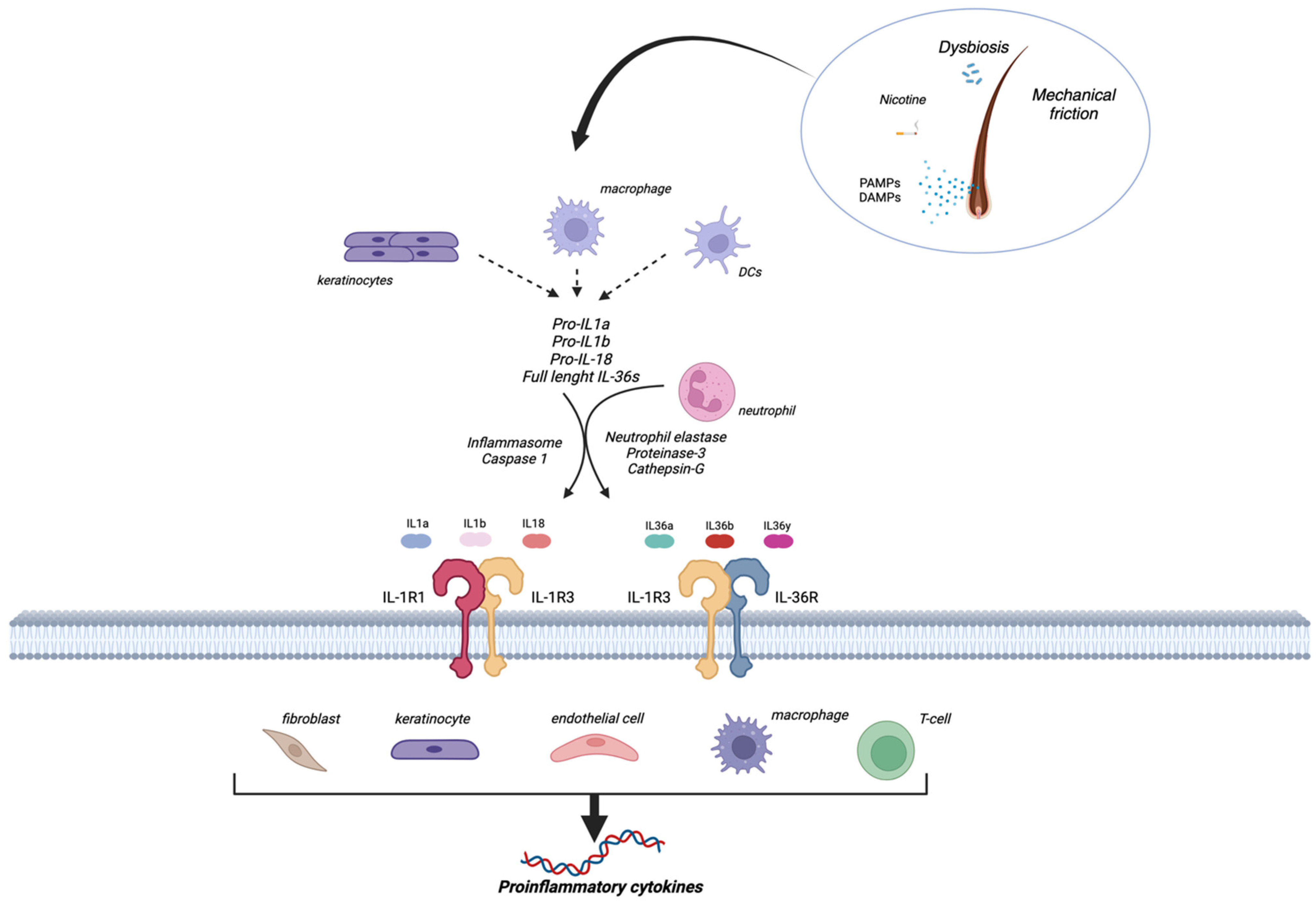 Biomolecules 14 00175 g001
