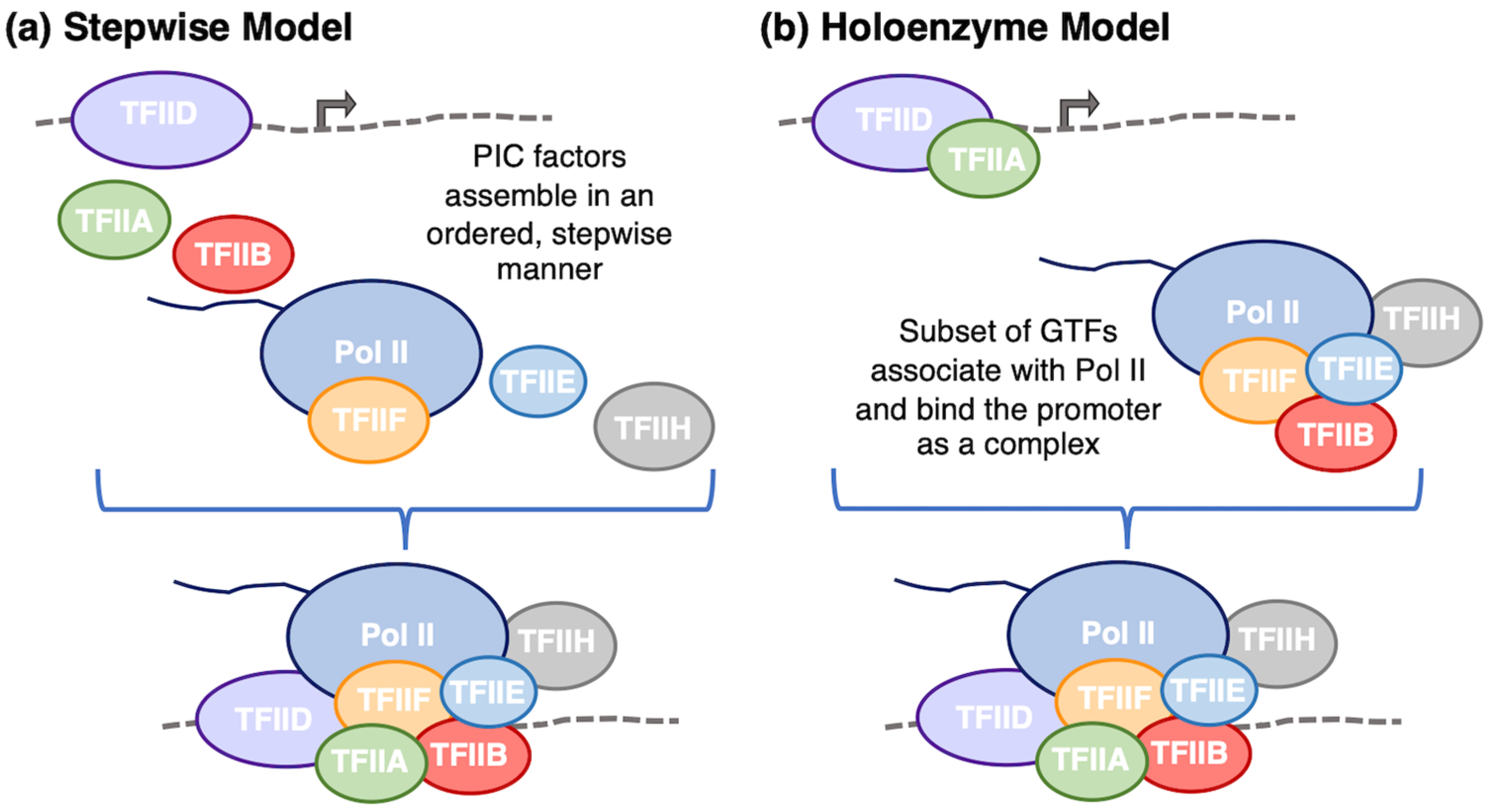Biomolecules 14 00176 g002