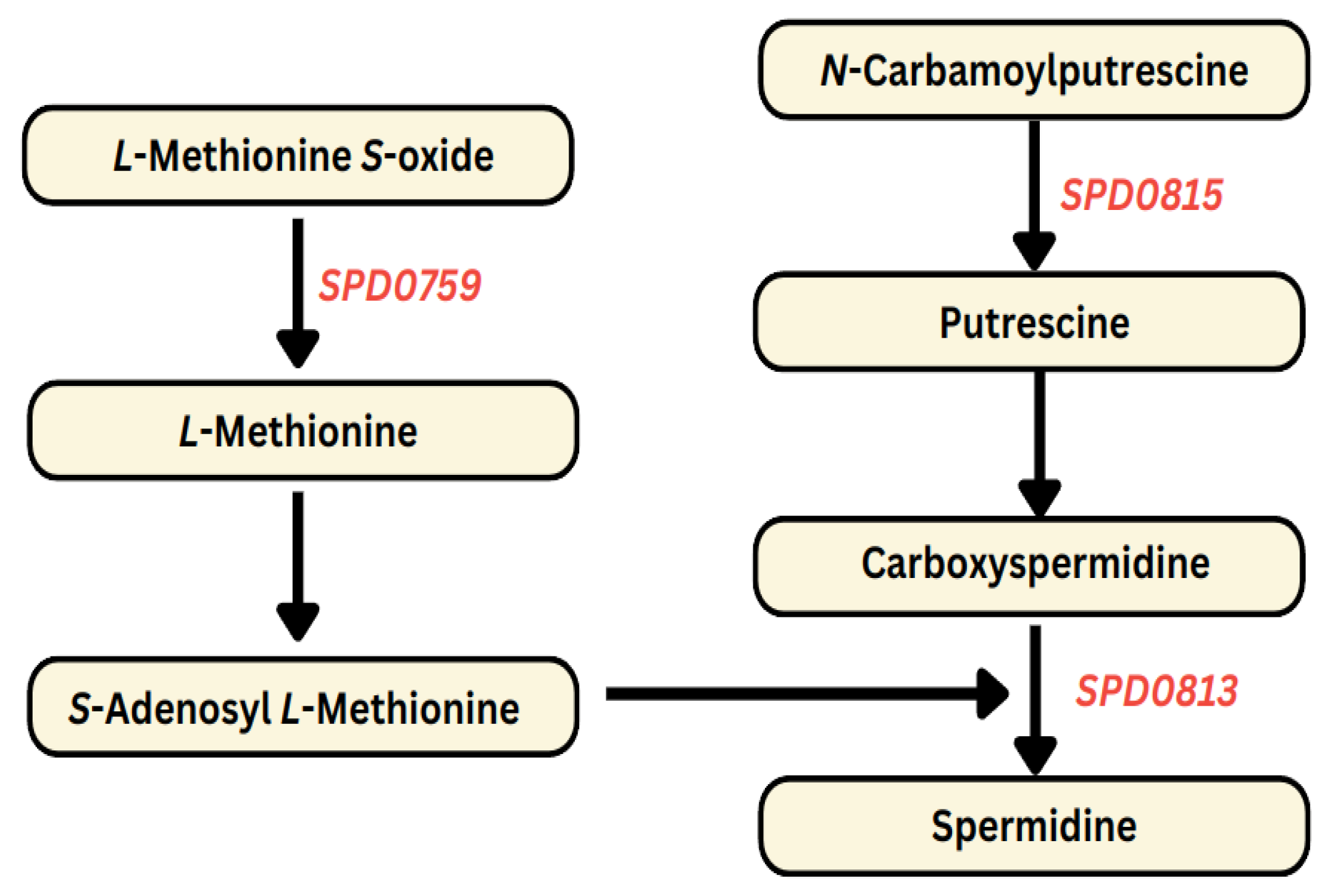 Biomolecules 14 00178 g001 Biomolecules 14 00178 g001
