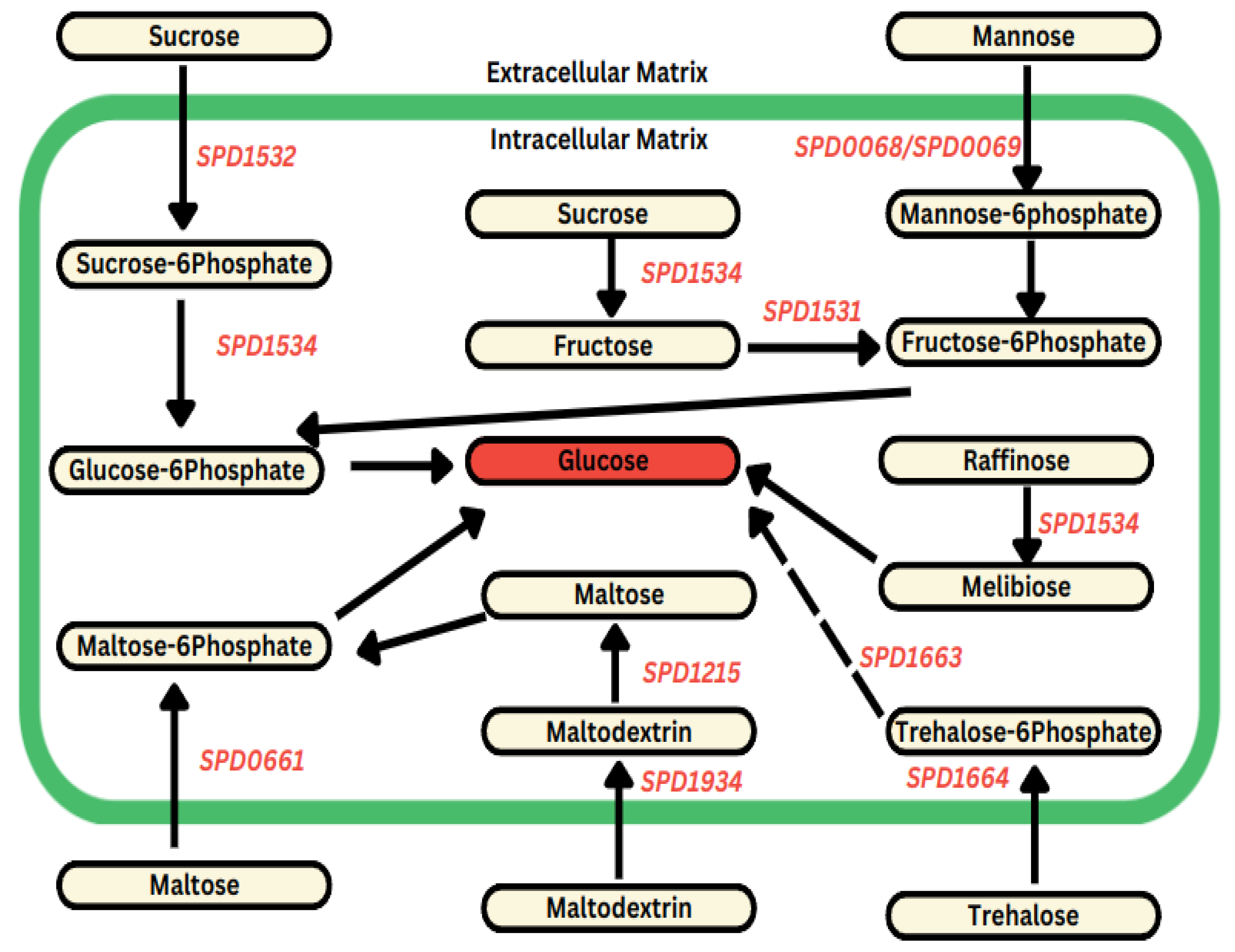 Biomolecules 14 00178 g002 Biomolecules 14 00178 g002