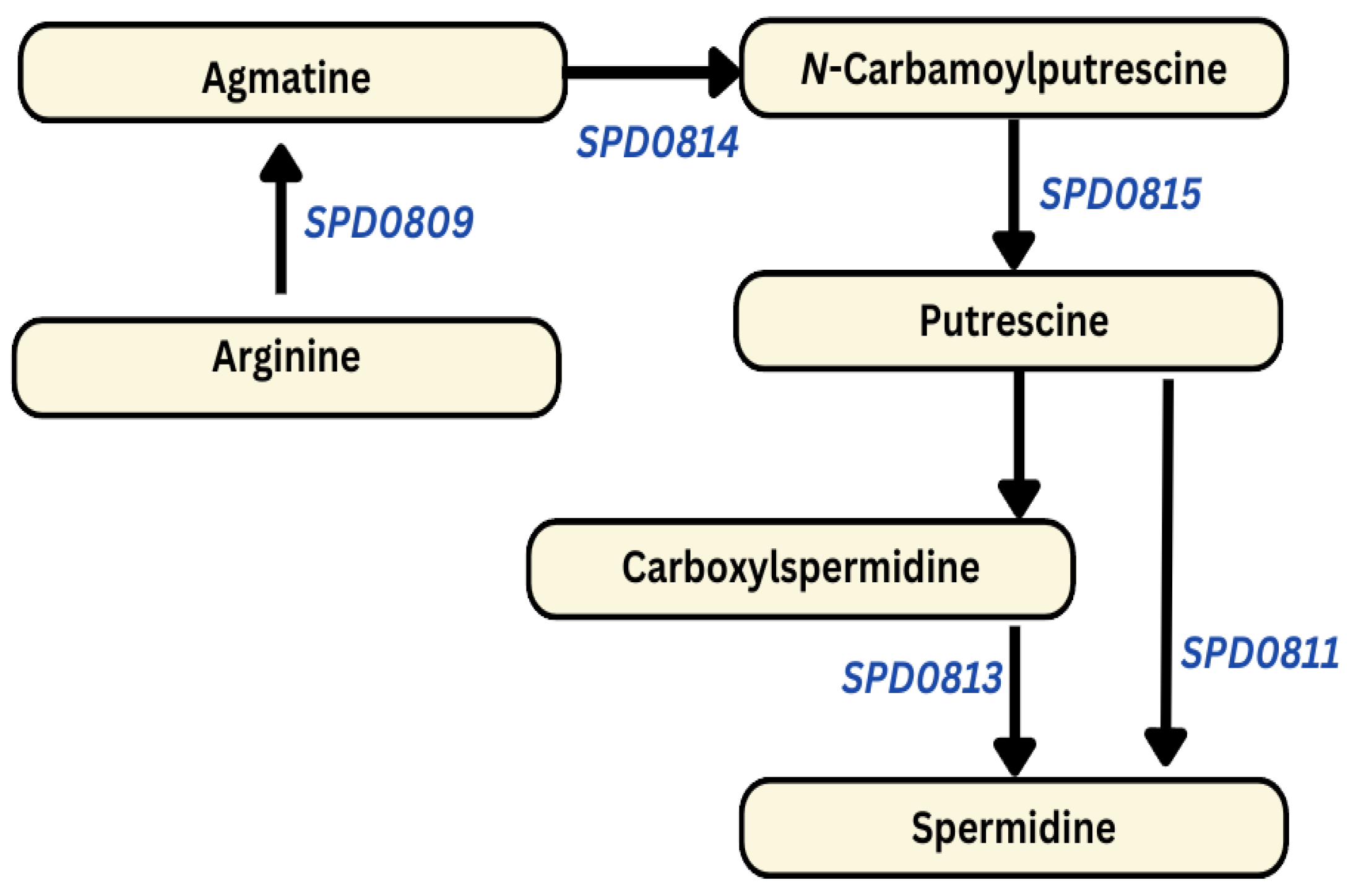 Biomolecules 14 00178 g003 Biomolecules 14 00178 g003